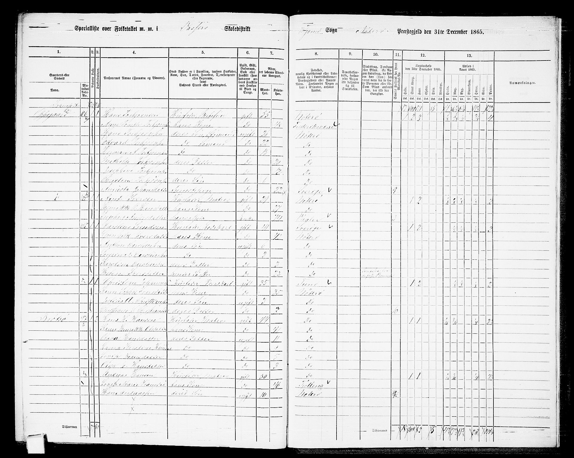 RA, 1865 census for Nøtterøy, 1865, p. 303