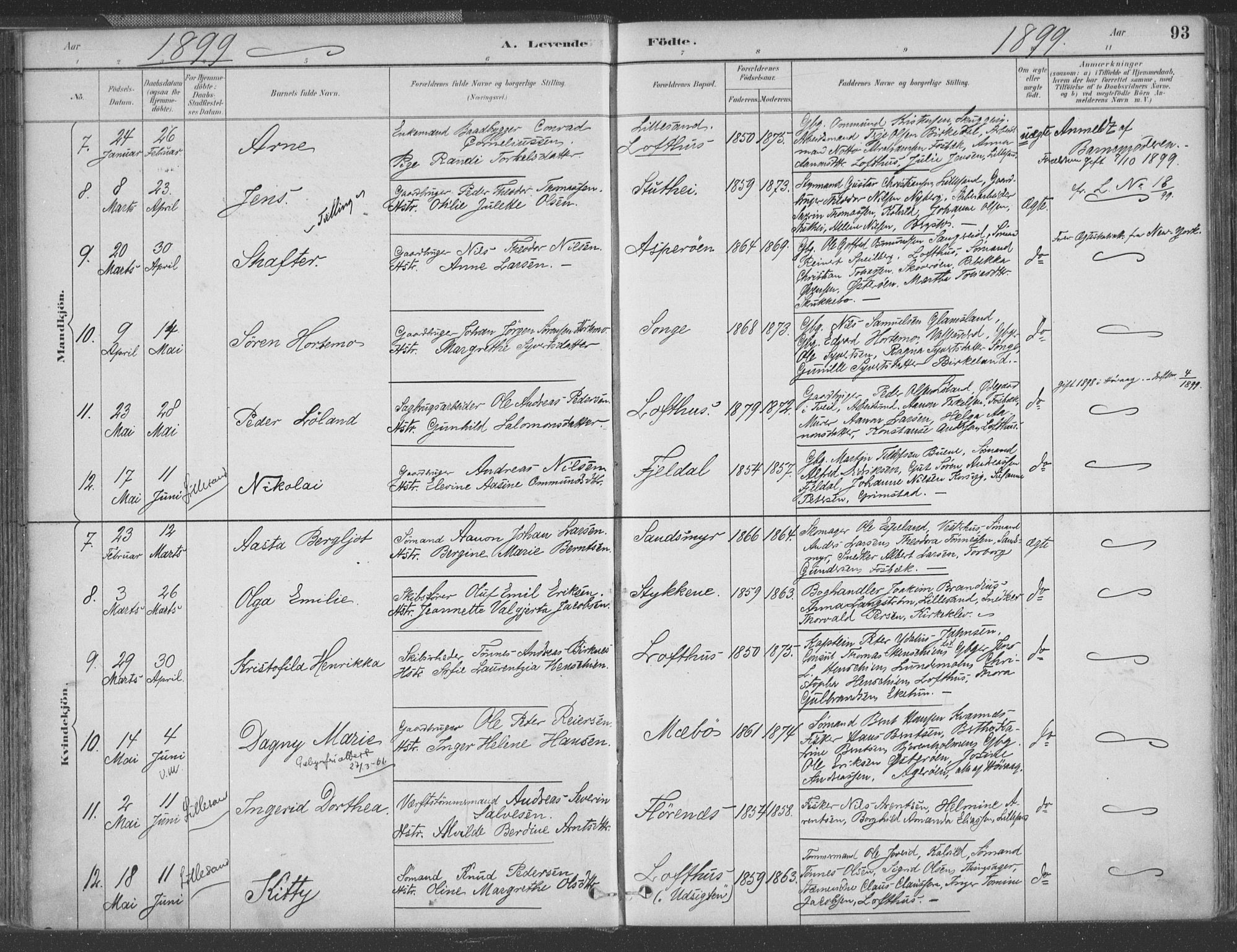 Vestre Moland sokneprestkontor, SAK/1111-0046/F/Fa/Fab/L0009: Parish register (official) no. A 9, 1884-1899, p. 93