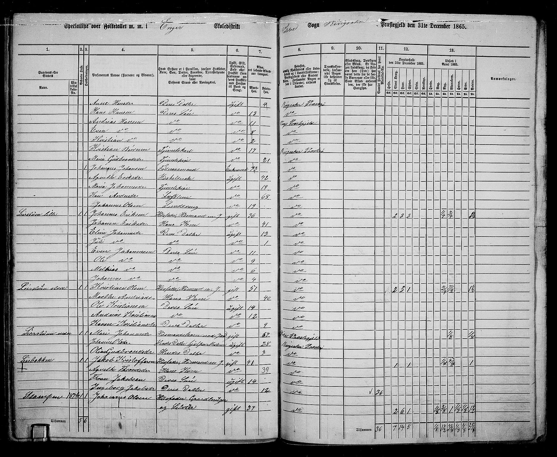 RA, 1865 census for Ringsaker, 1865, p. 237