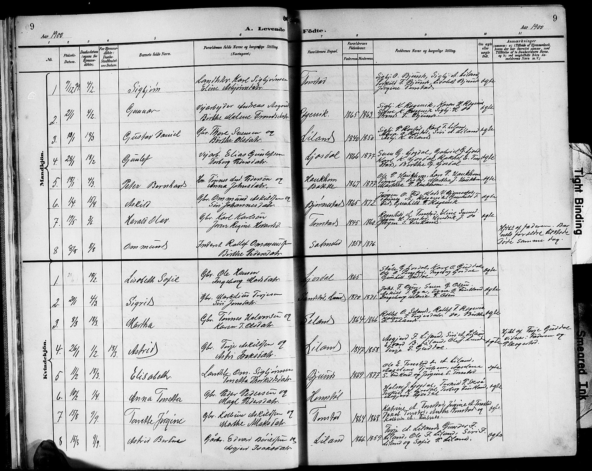 Sirdal sokneprestkontor, SAK/1111-0036/F/Fb/Fbb/L0004: Parish register (copy) no. B 4, 1895-1916, p. 9
