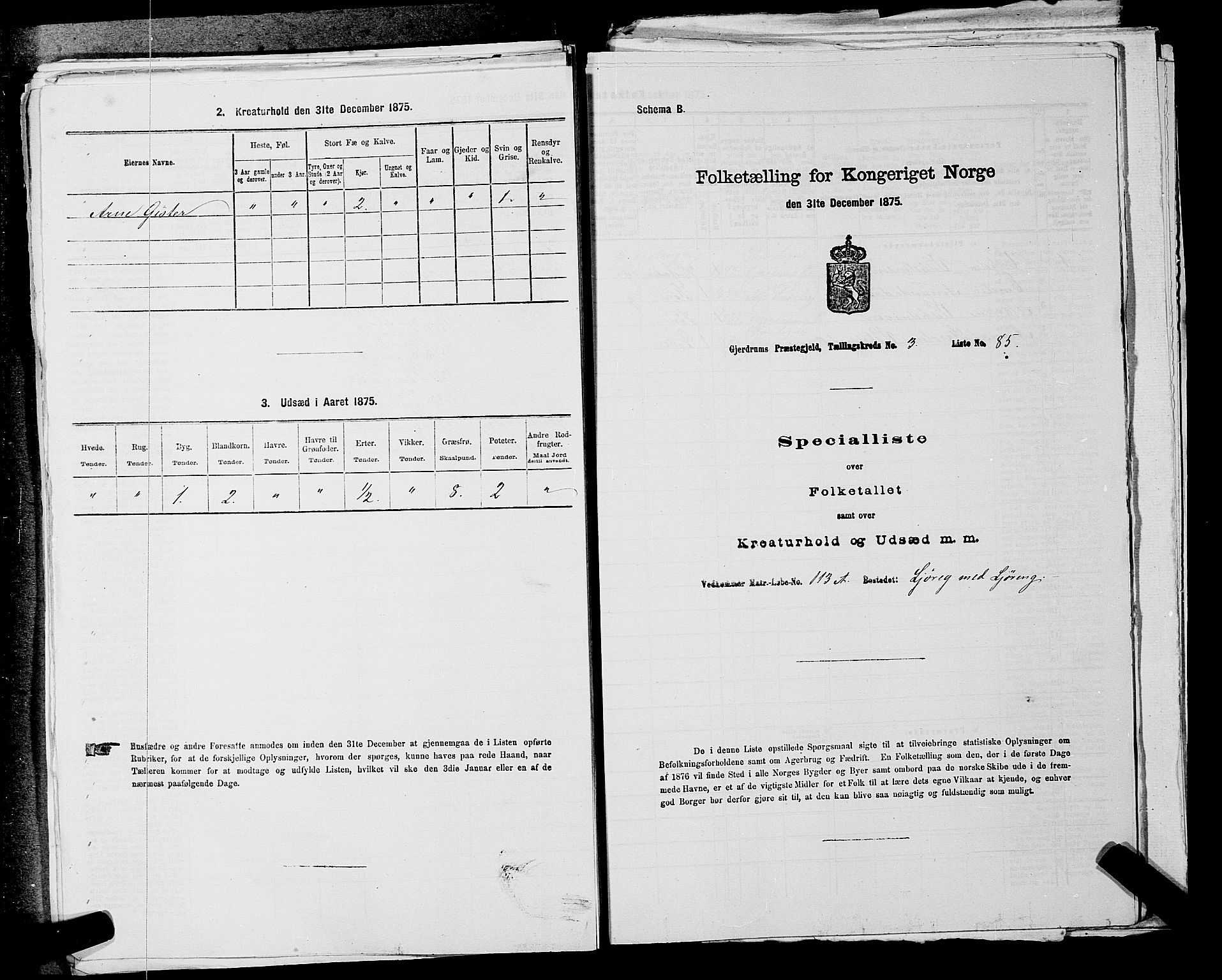 RA, 1875 census for 0234P Gjerdrum, 1875, p. 553