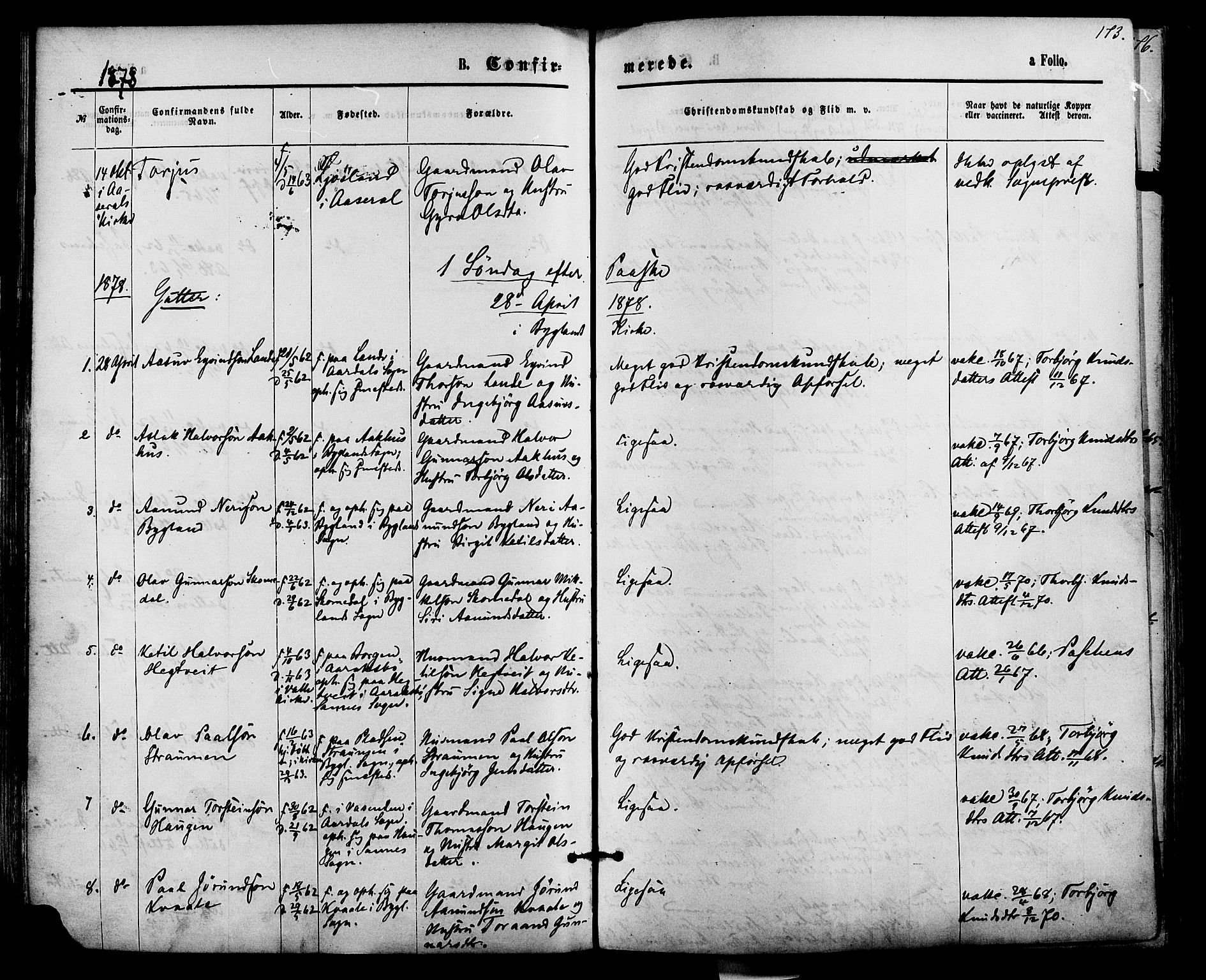 Bygland sokneprestkontor, SAK/1111-0006/F/Fa/Fab/L0006: Parish register (official) no. A 6, 1873-1884, p. 173