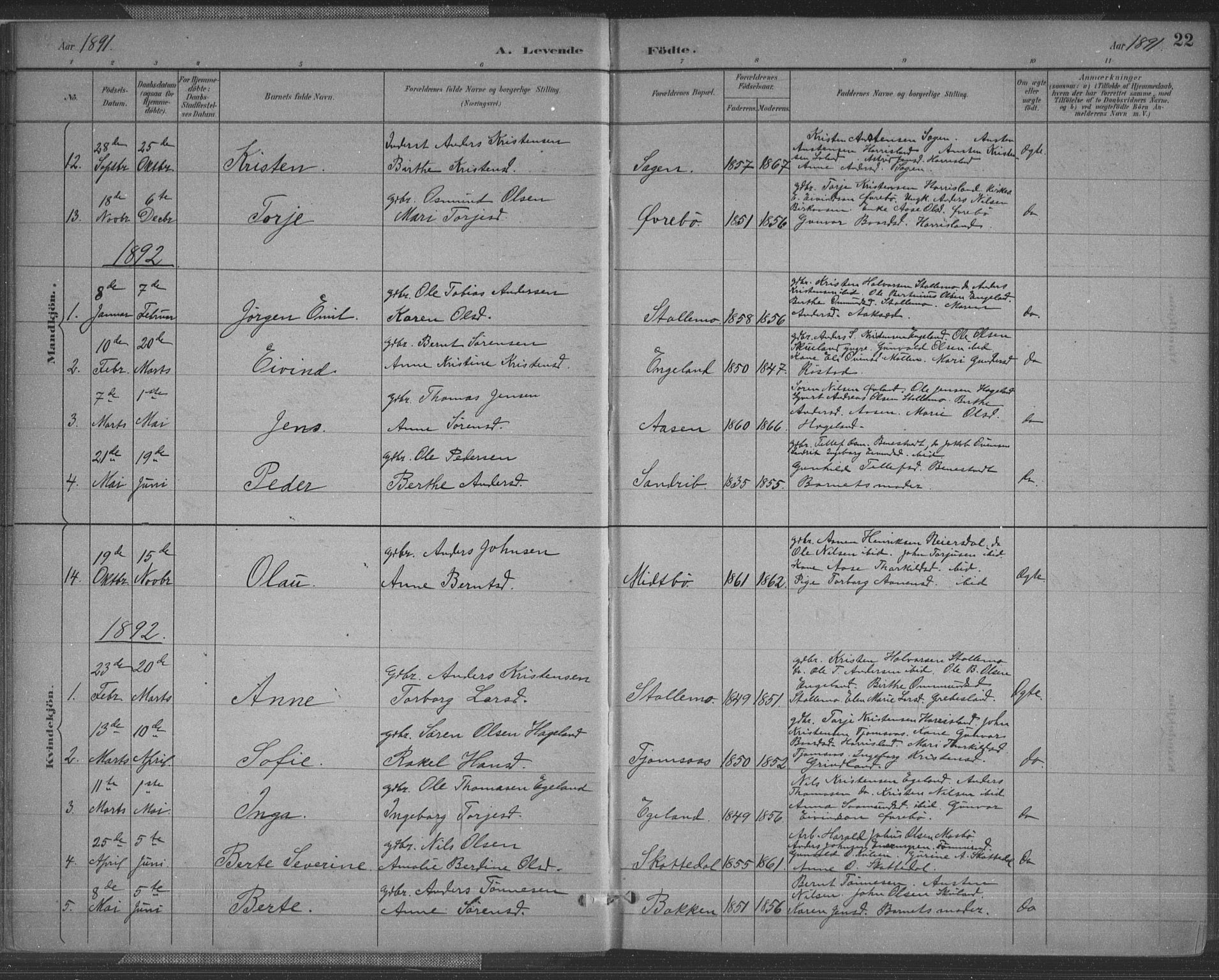 Vennesla sokneprestkontor, SAK/1111-0045/Fa/Fac/L0009: Parish register (official) no. A 9, 1884-1901, p. 22