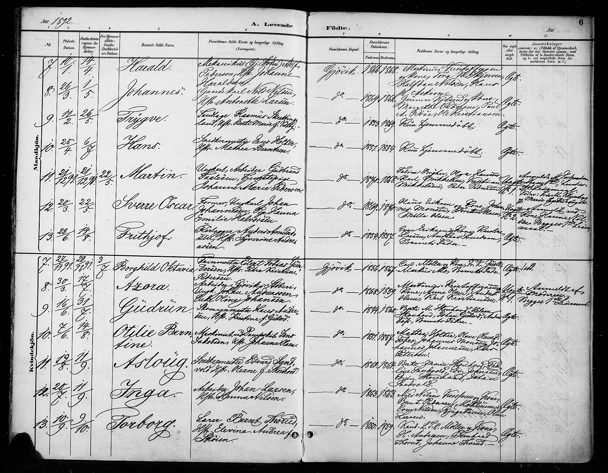 Vardal prestekontor, SAH/PREST-100/H/Ha/Haa/L0011: Parish register (official) no. 11, 1891-1901, p. 6