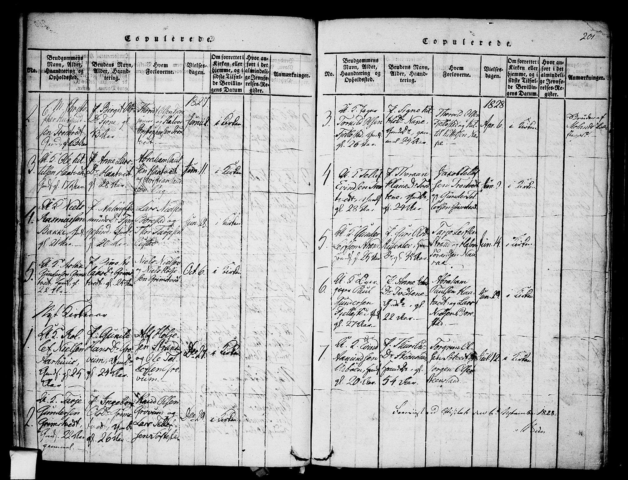 Nissedal kirkebøker, SAKO/A-288/F/Fa/L0002: Parish register (official) no. I 2, 1814-1845, p. 201