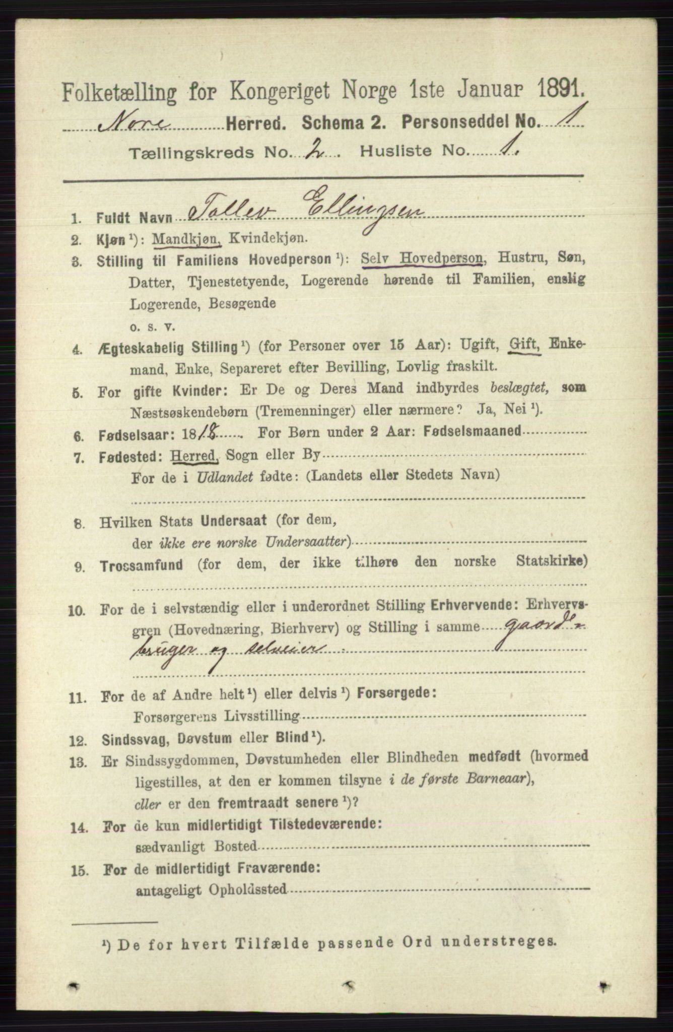 RA, 1891 census for 0633 Nore, 1891, p. 252