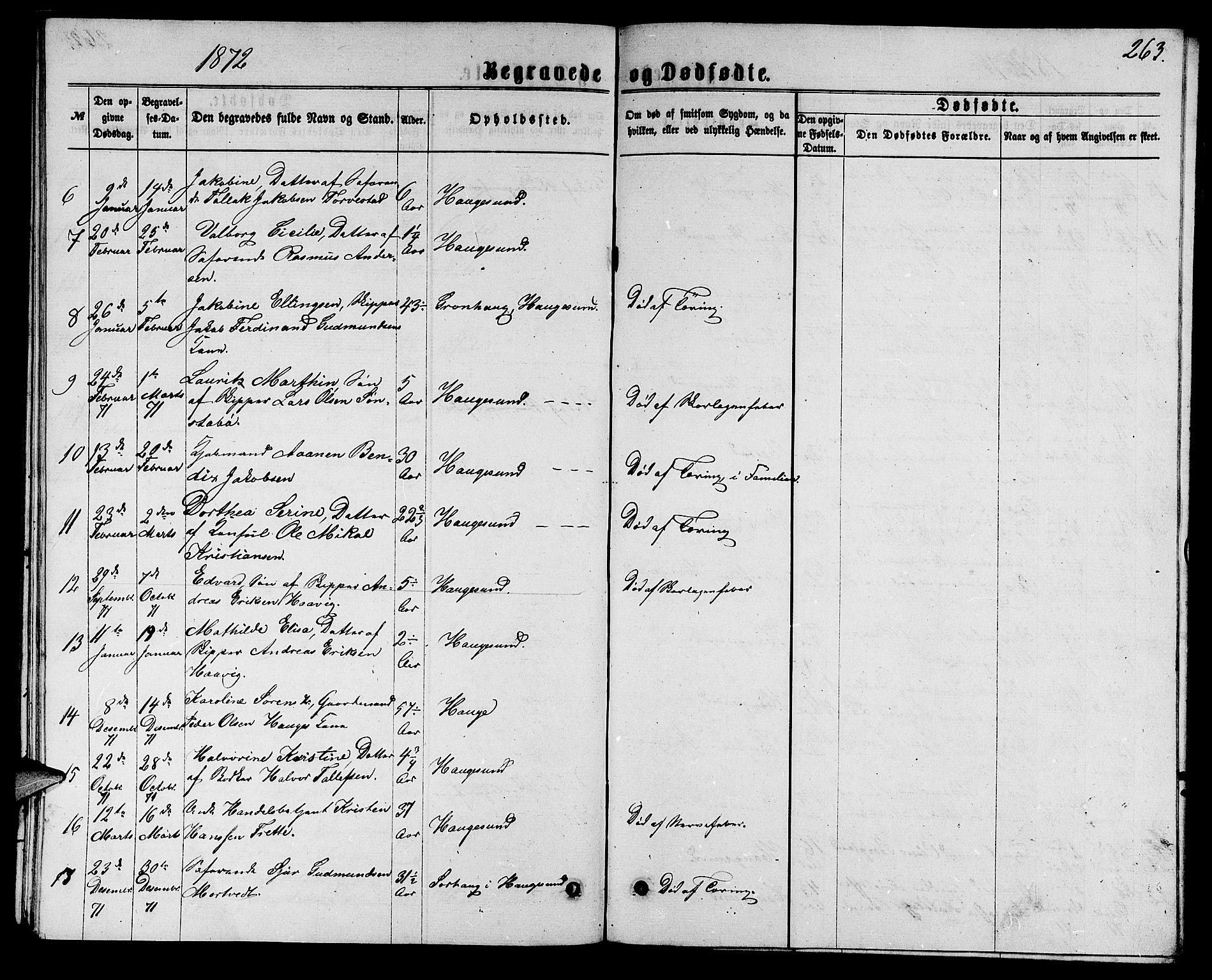 Torvastad sokneprestkontor, AV/SAST-A -101857/H/Ha/Hab/L0007: Parish register (copy) no. B 7, 1866-1873, p. 263