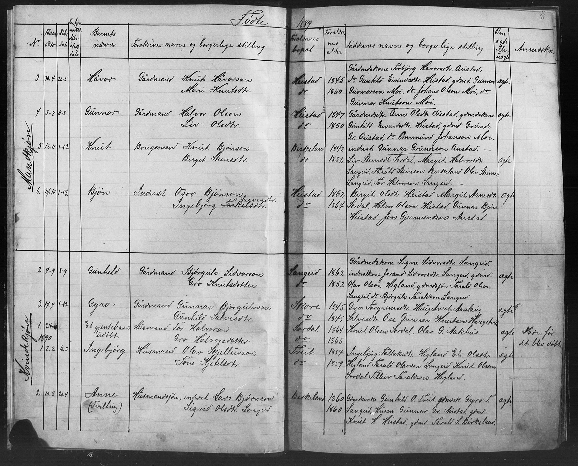 Bygland sokneprestkontor, SAK/1111-0006/F/Fb/Fba/L0002: Parish register (copy) no. B 2, 1886-1919, p. 8