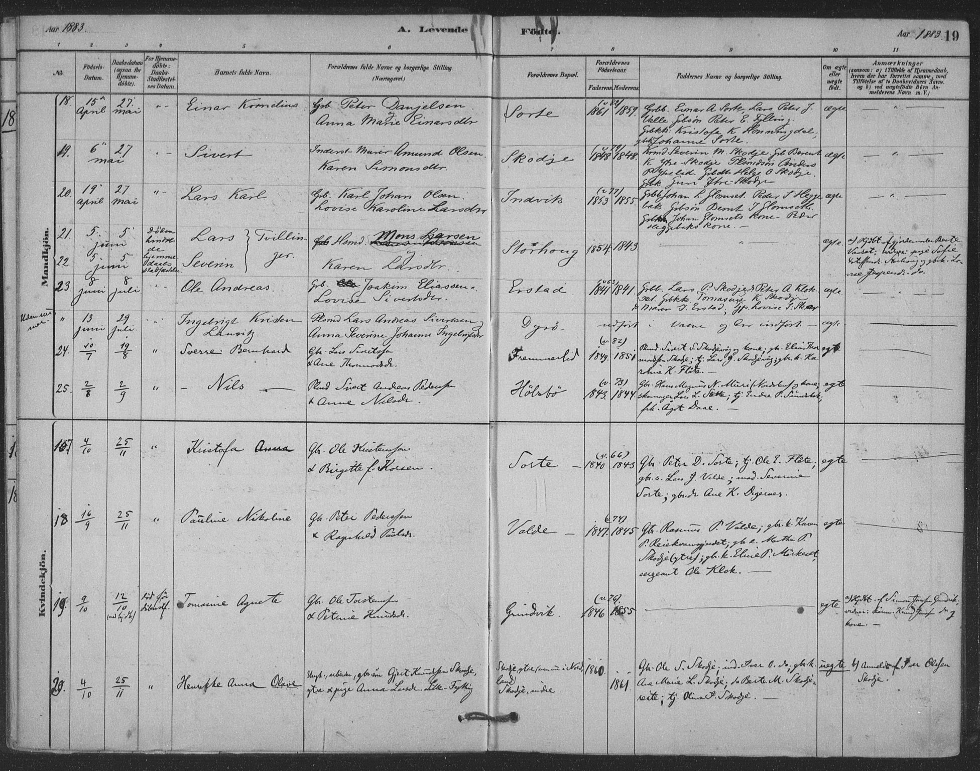 Ministerialprotokoller, klokkerbøker og fødselsregistre - Møre og Romsdal, AV/SAT-A-1454/524/L0356: Parish register (official) no. 524A08, 1880-1899, p. 19