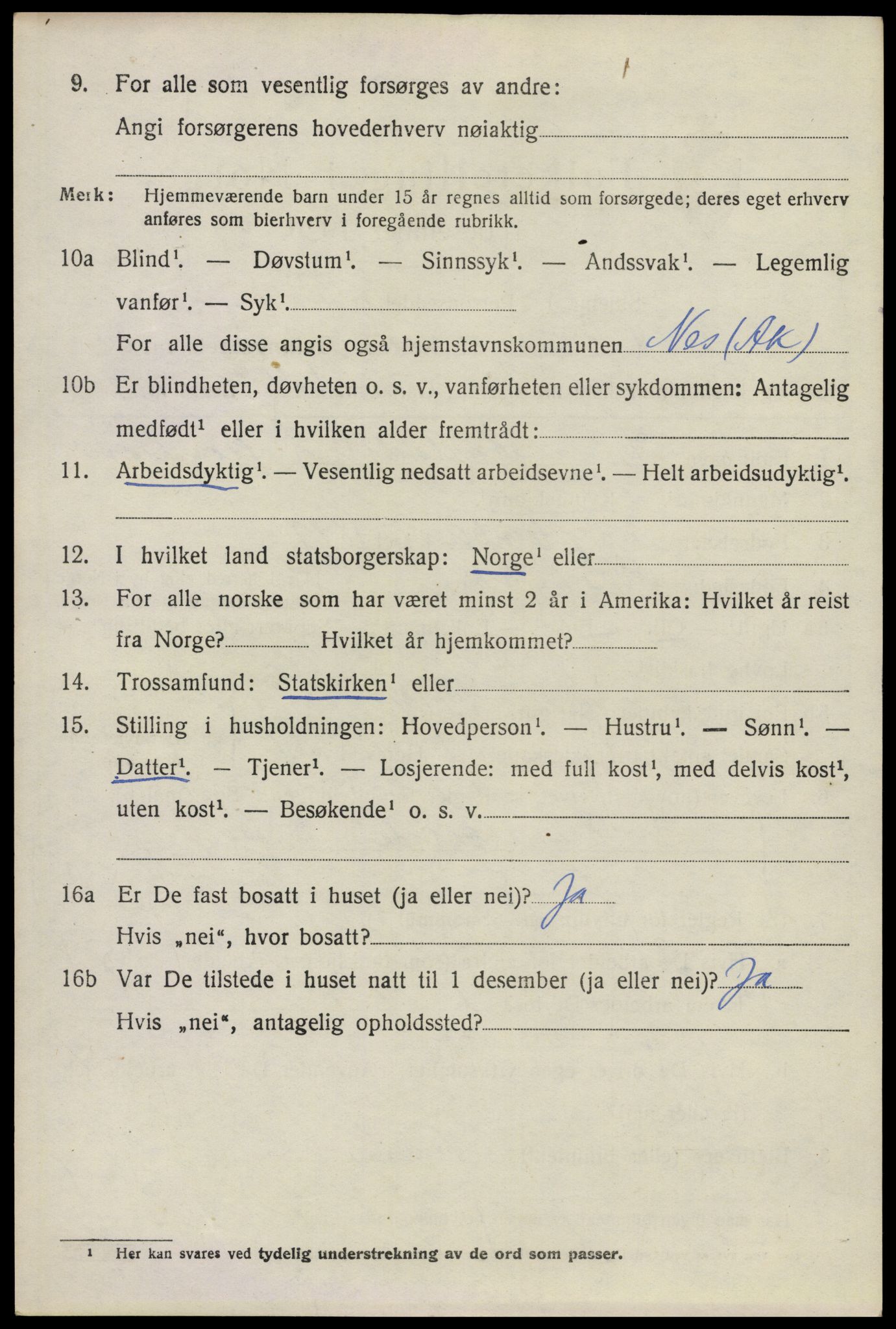 SAO, 1920 census for Nes, 1920, p. 11385