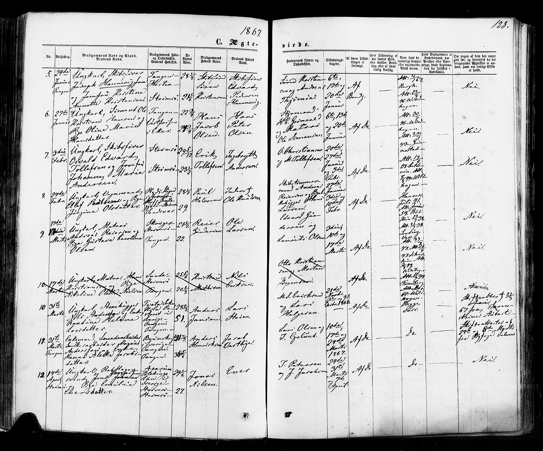 Strømsø kirkebøker, SAKO/A-246/F/Fa/L0018: Parish register (official) no. I 18, 1865-1878, p. 123
