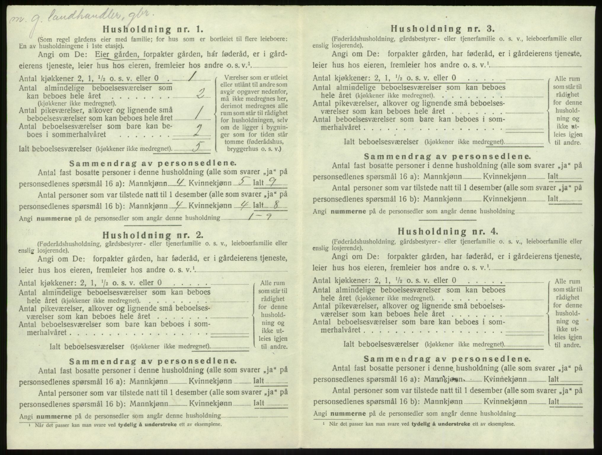 SAB, 1920 census for Solund, 1920, p. 299