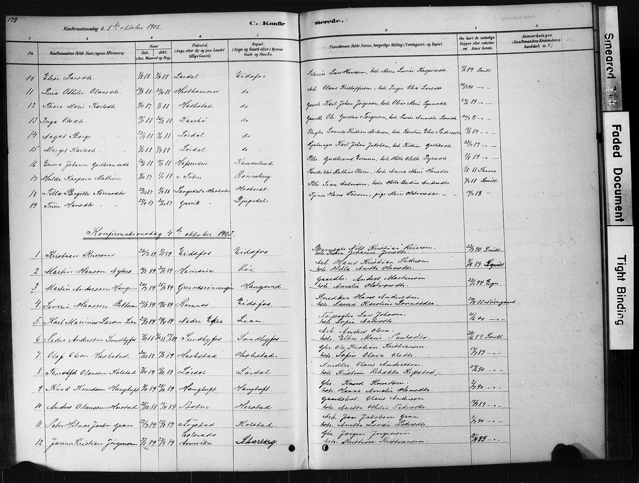 Hof kirkebøker, AV/SAKO-A-64/G/Ga/L0004: Parish register (copy) no. I 4, 1878-1930, p. 175