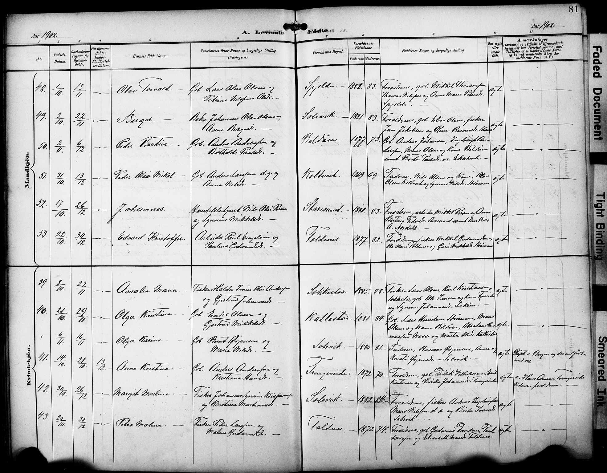 Fjell sokneprestembete, AV/SAB-A-75301/H/Hab: Parish register (copy) no. A 5, 1899-1918, p. 81