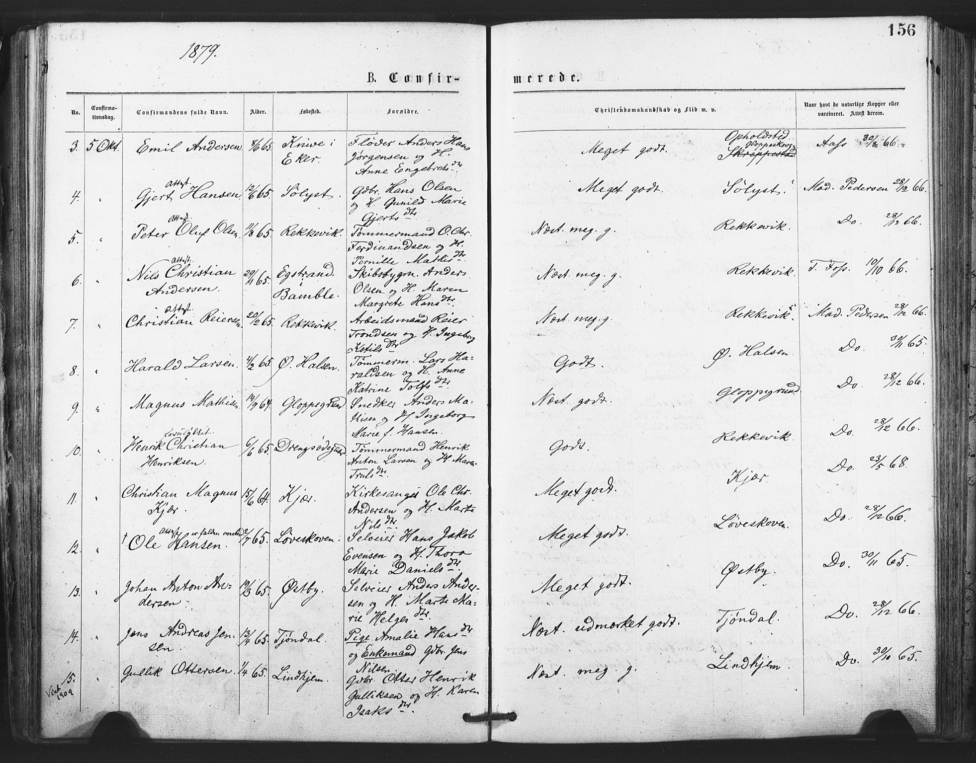 Tjølling kirkebøker, SAKO/A-60/F/Fa/L0008: Parish register (official) no. 8, 1877-1886, p. 156
