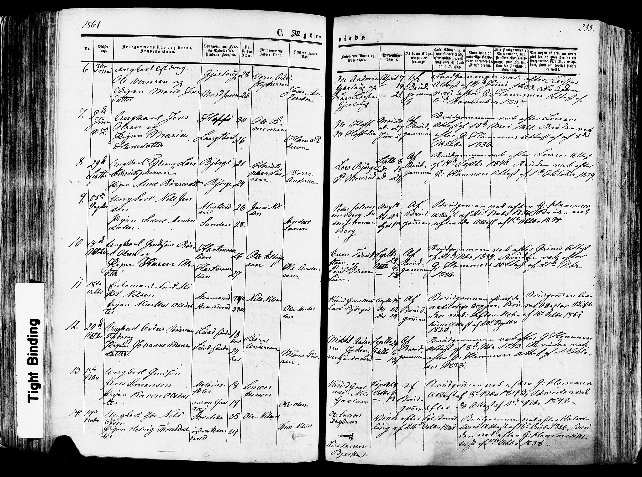 Vang prestekontor, Hedmark, SAH/PREST-008/H/Ha/Haa/L0013: Parish register (official) no. 13, 1855-1879, p. 233