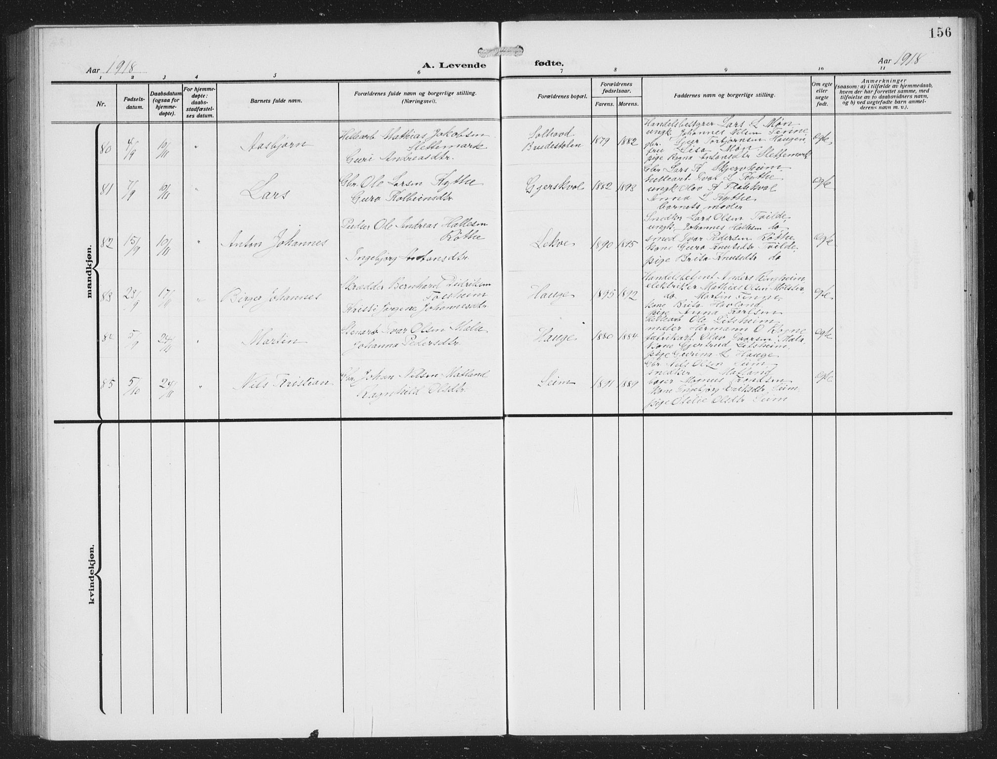 Voss sokneprestembete, AV/SAB-A-79001/H/Hab: Parish register (copy) no. C 3, 1909-1920, p. 156