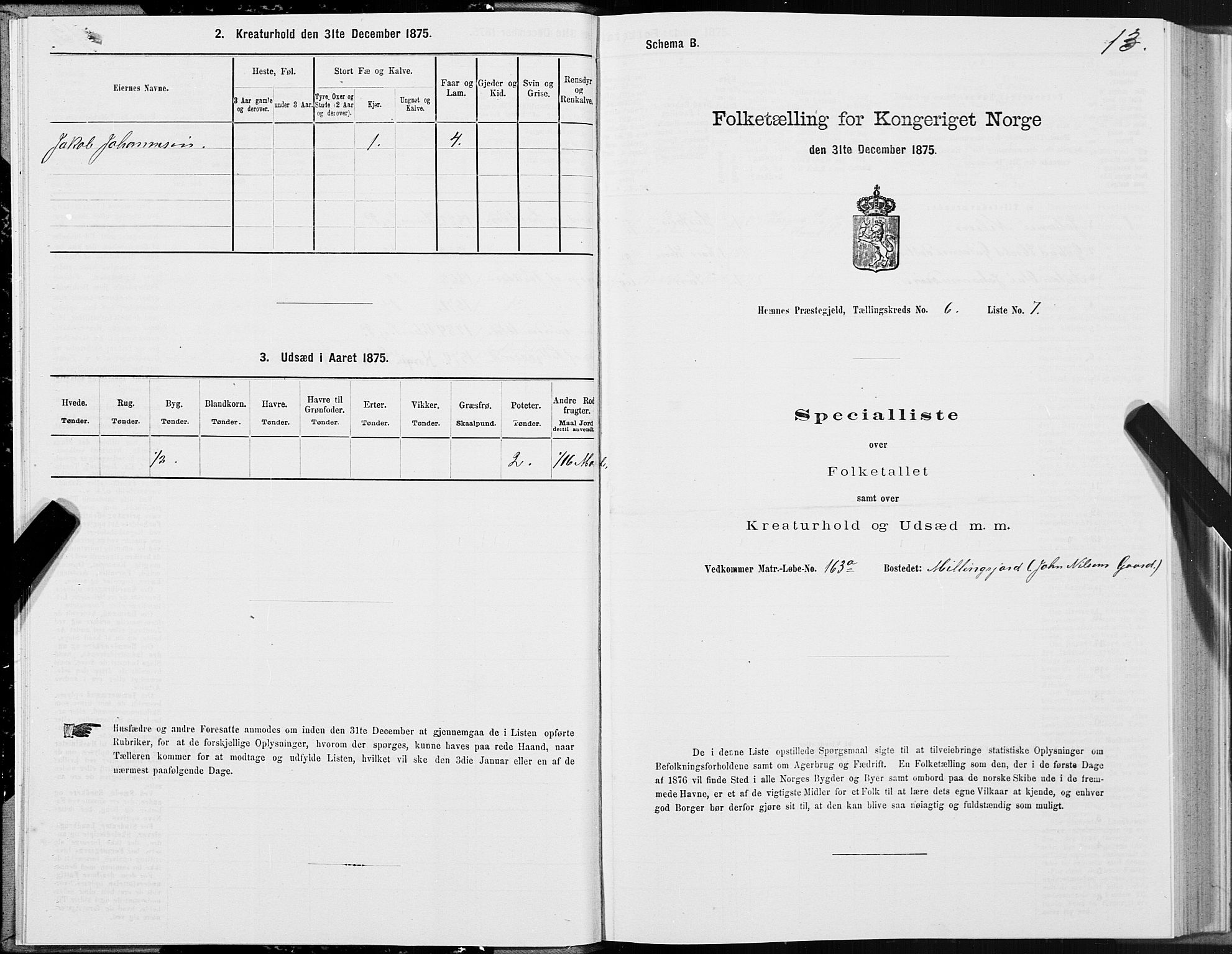 SAT, 1875 census for 1832P Hemnes, 1875, p. 4013