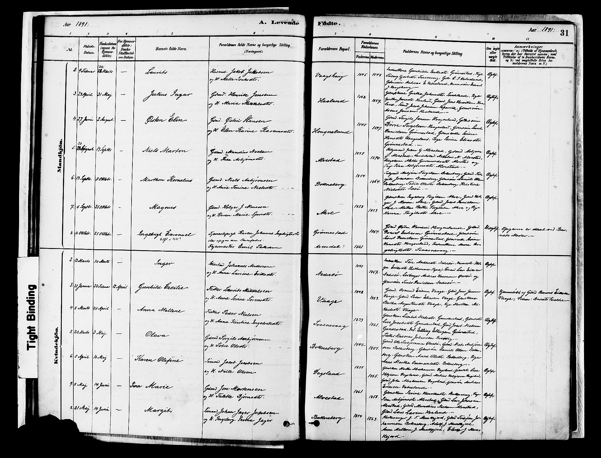 Tysvær sokneprestkontor, SAST/A -101864/H/Ha/Haa/L0007: Parish register (official) no. A 7, 1878-1897, p. 31
