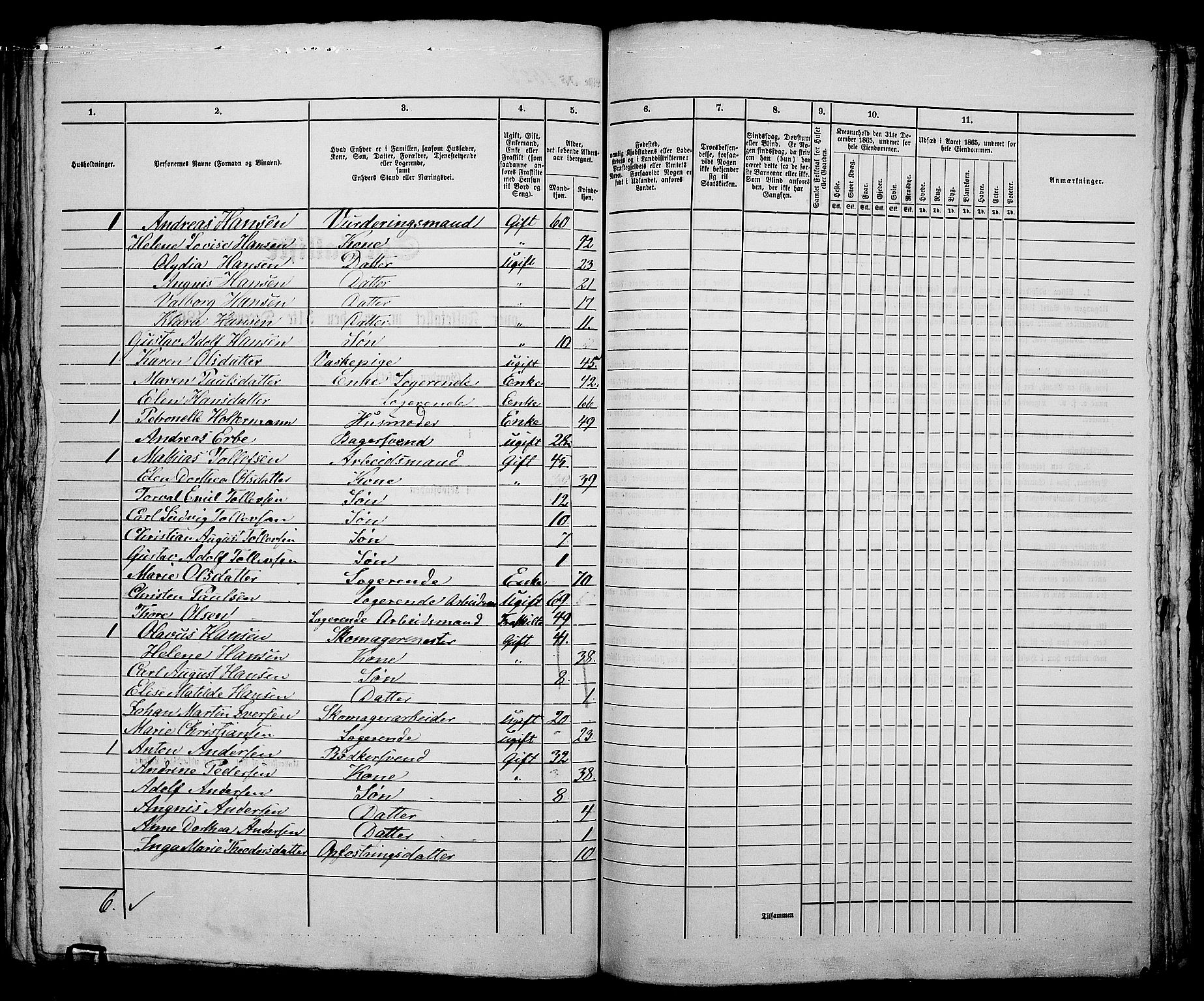 RA, 1865 census for Kristiania, 1865, p. 3466