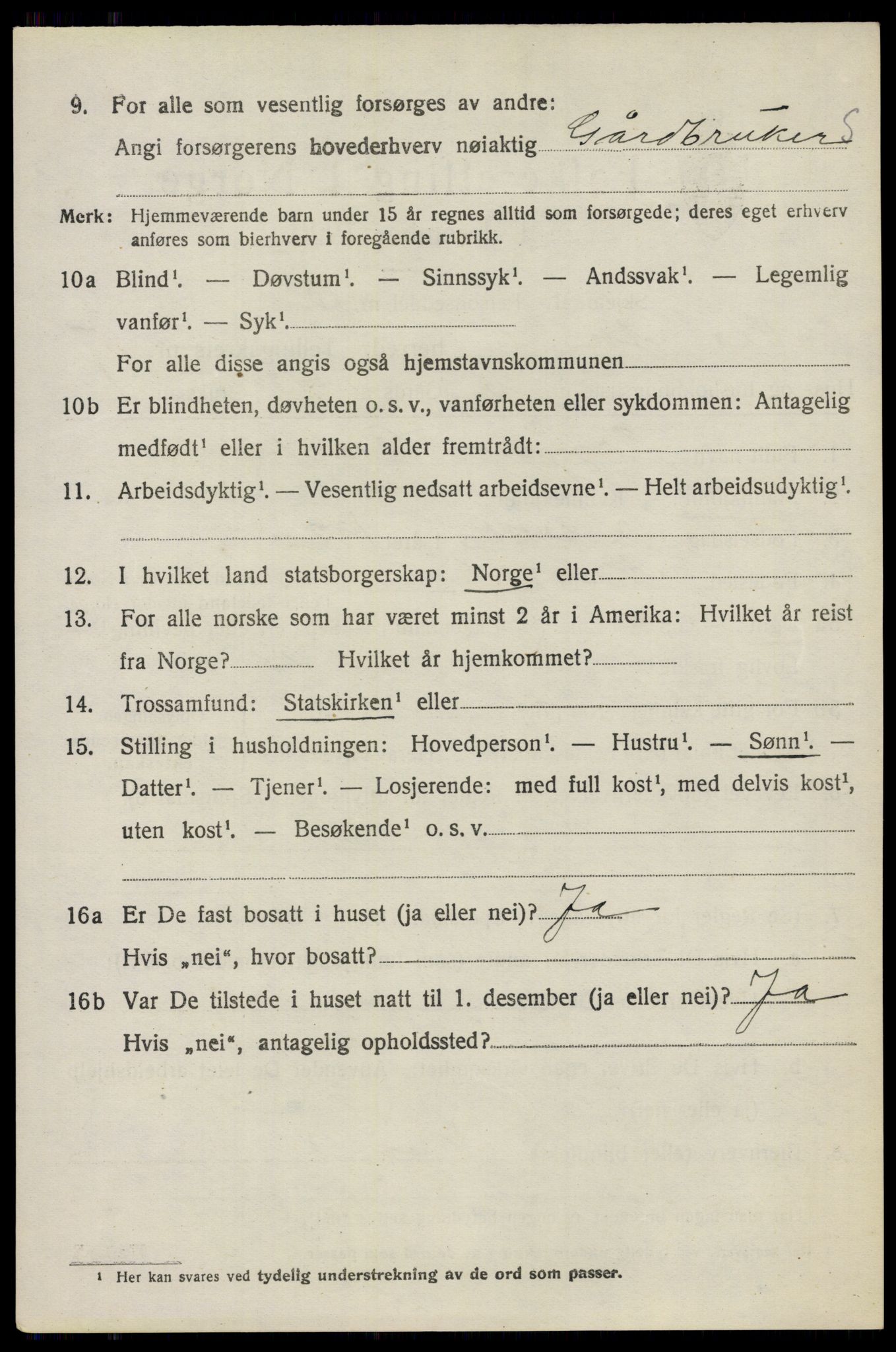 SAO, 1920 census for Nes, 1920, p. 6629