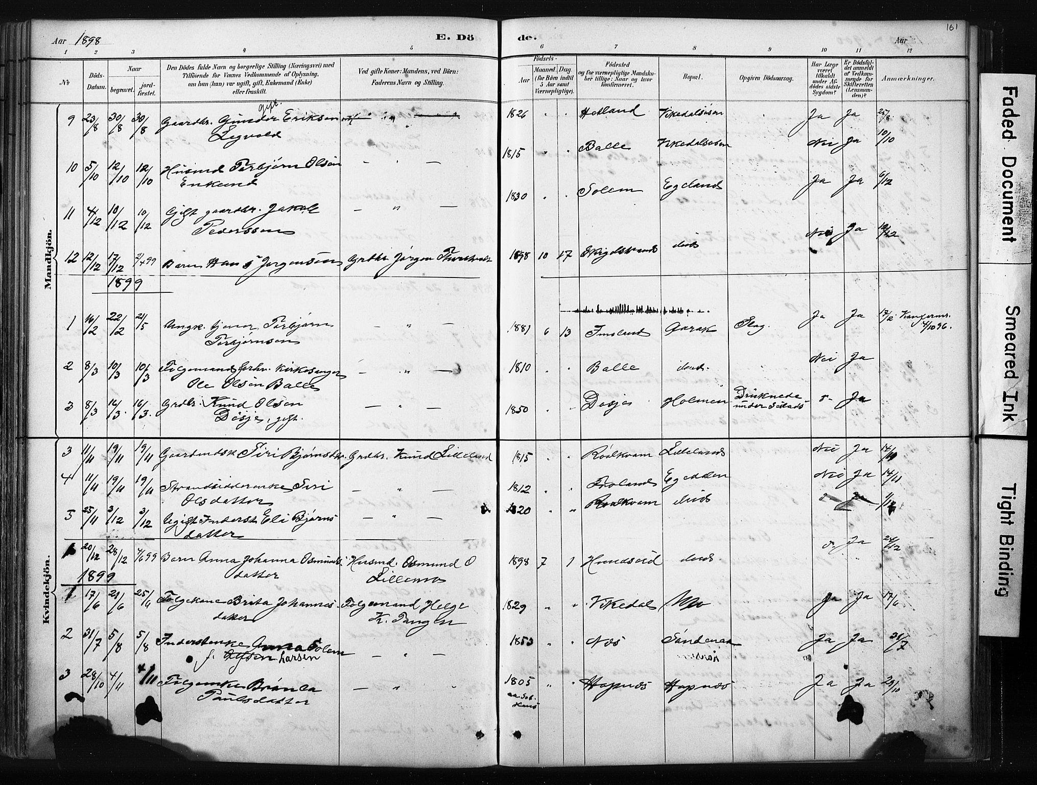 Vikedal sokneprestkontor, AV/SAST-A-101840/01/IV: Parish register (official) no. A 10, 1884-1907, p. 161