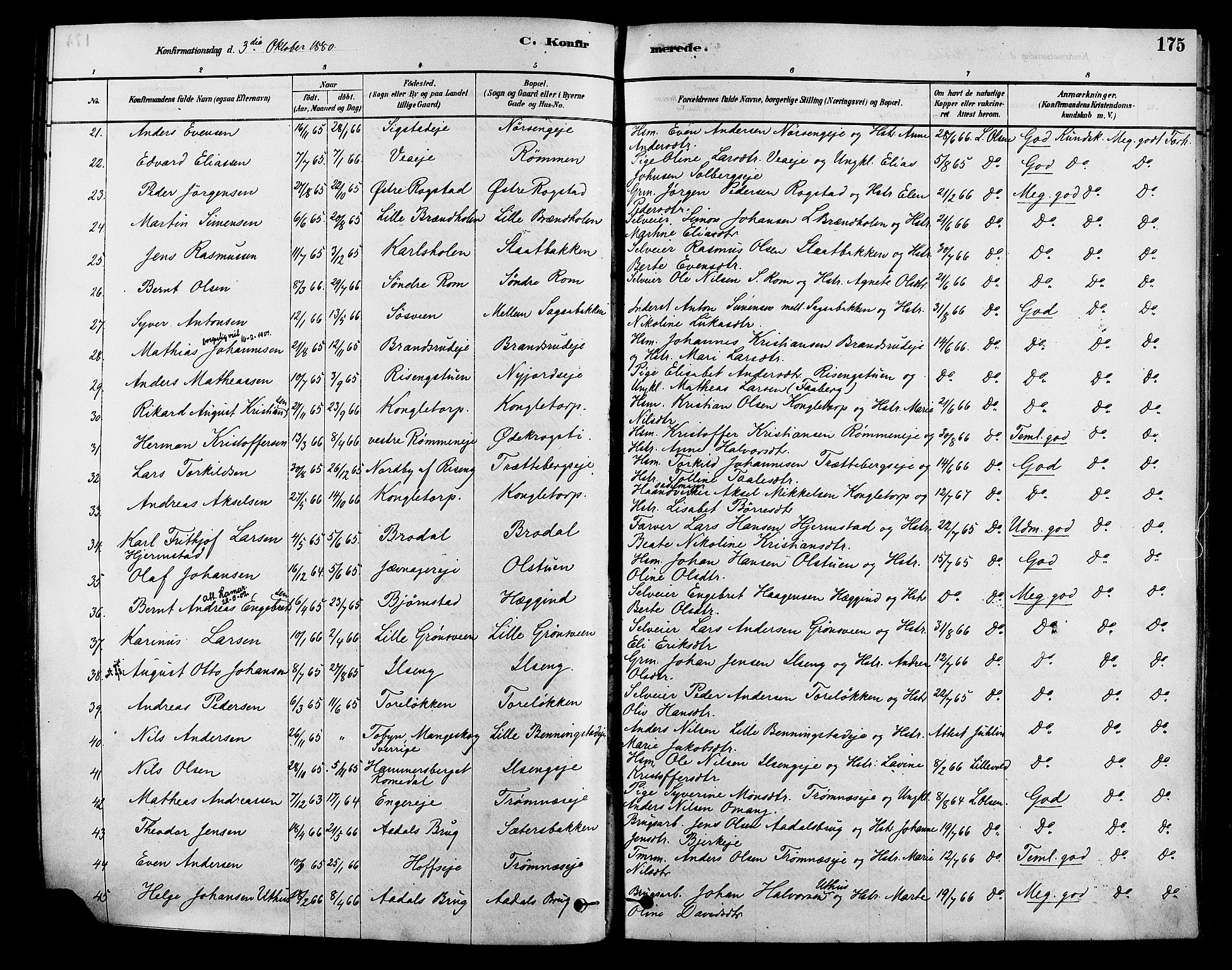Løten prestekontor, SAH/PREST-022/K/Ka/L0009: Parish register (official) no. 9, 1878-1891, p. 175