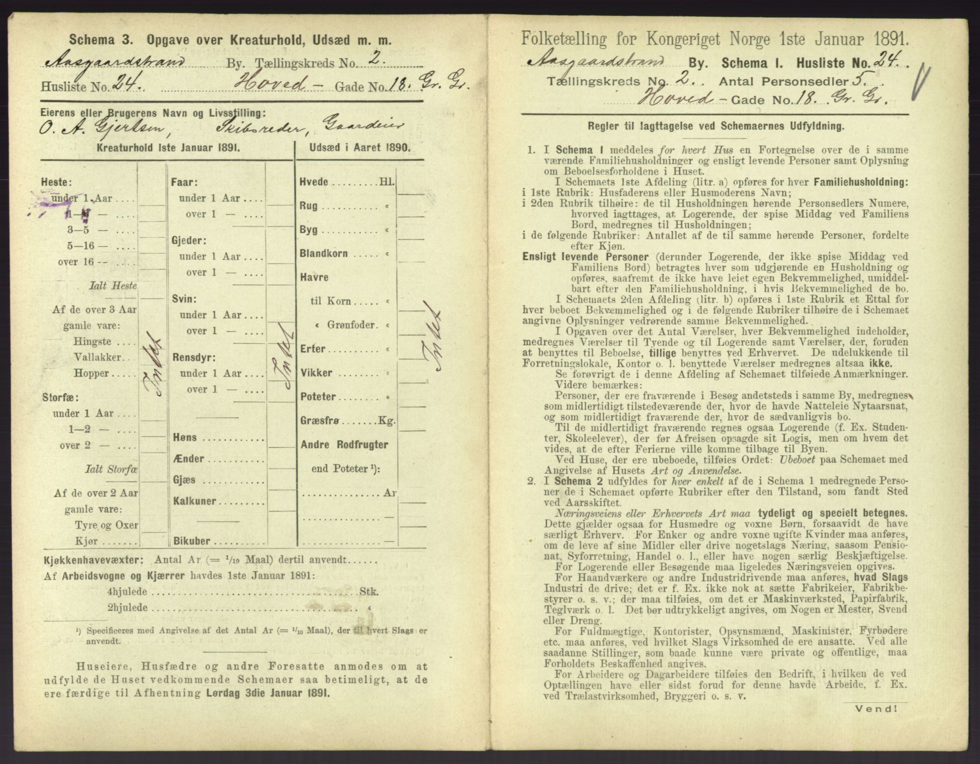 RA, 1891 census for 0704 Åsgårdstrand, 1891, p. 133