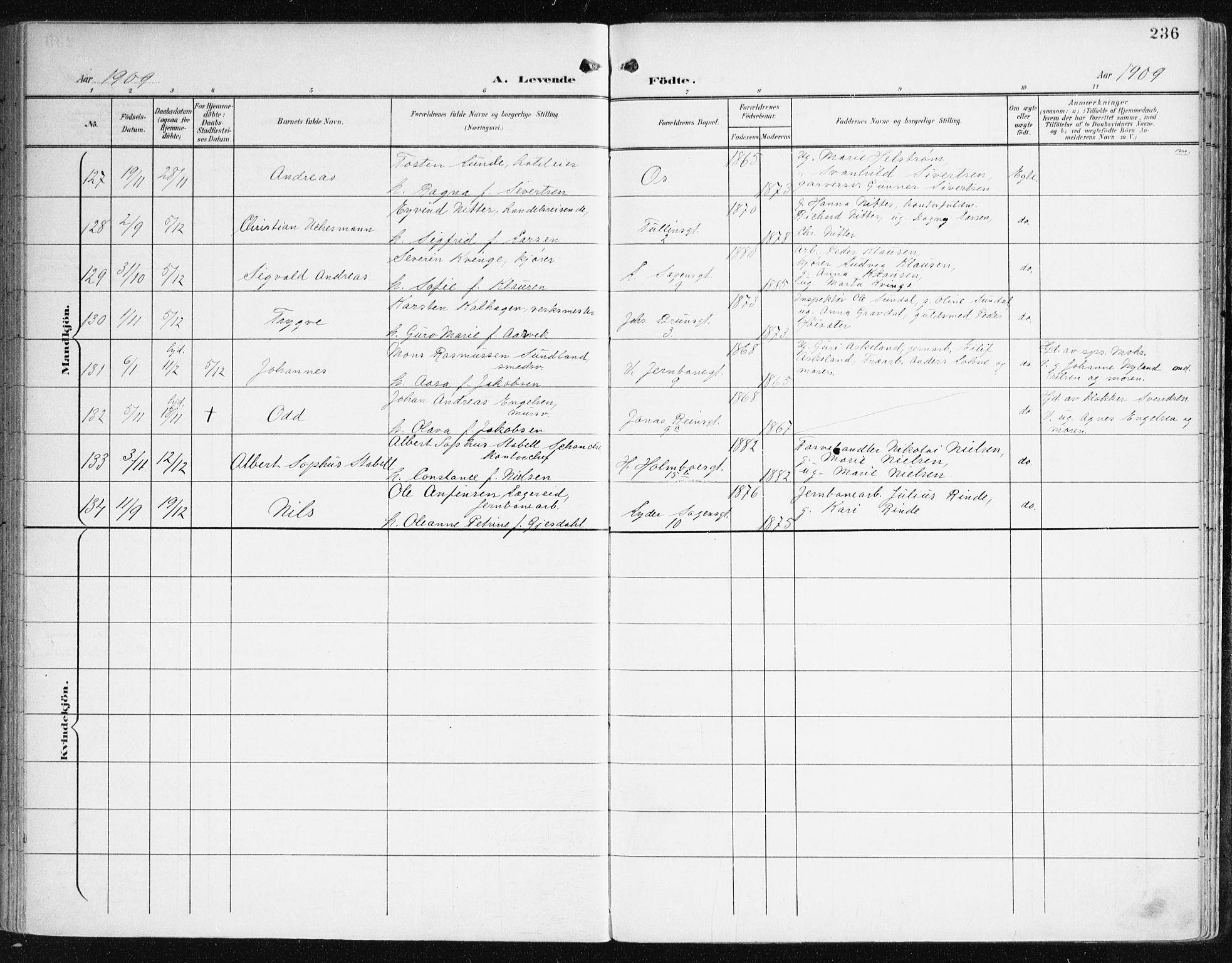 Johanneskirken sokneprestembete, AV/SAB-A-76001/H/Haa/L0002: Parish register (official) no. A 2, 1900-1912, p. 236