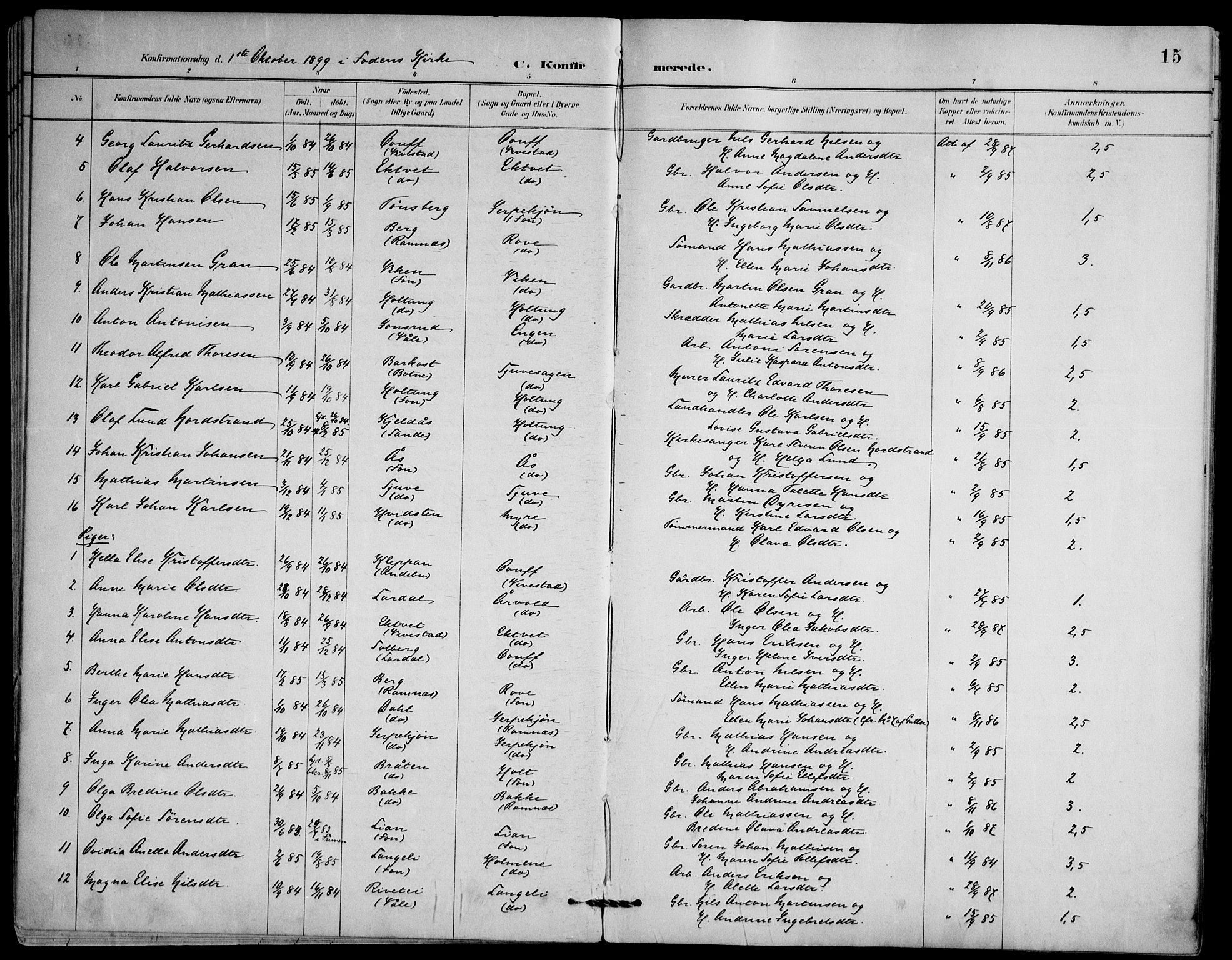 Ramnes kirkebøker, SAKO/A-314/F/Fd/L0003: Curate's parish register no. IV 3, 1887-1907, p. 15