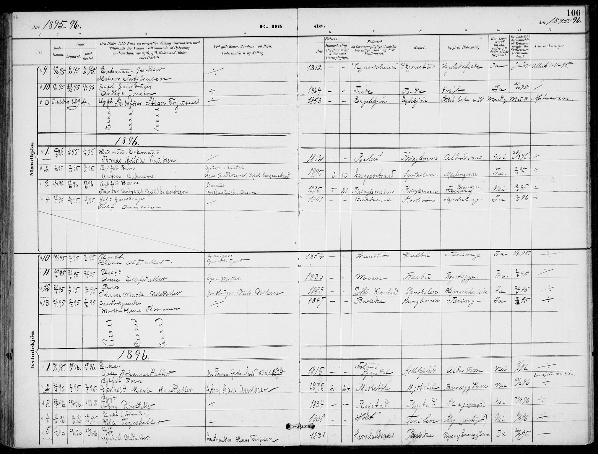 Austre Moland sokneprestkontor, SAK/1111-0001/F/Fa/Faa/L0011: Parish register (official) no. A 11, 1894-1915, p. 106