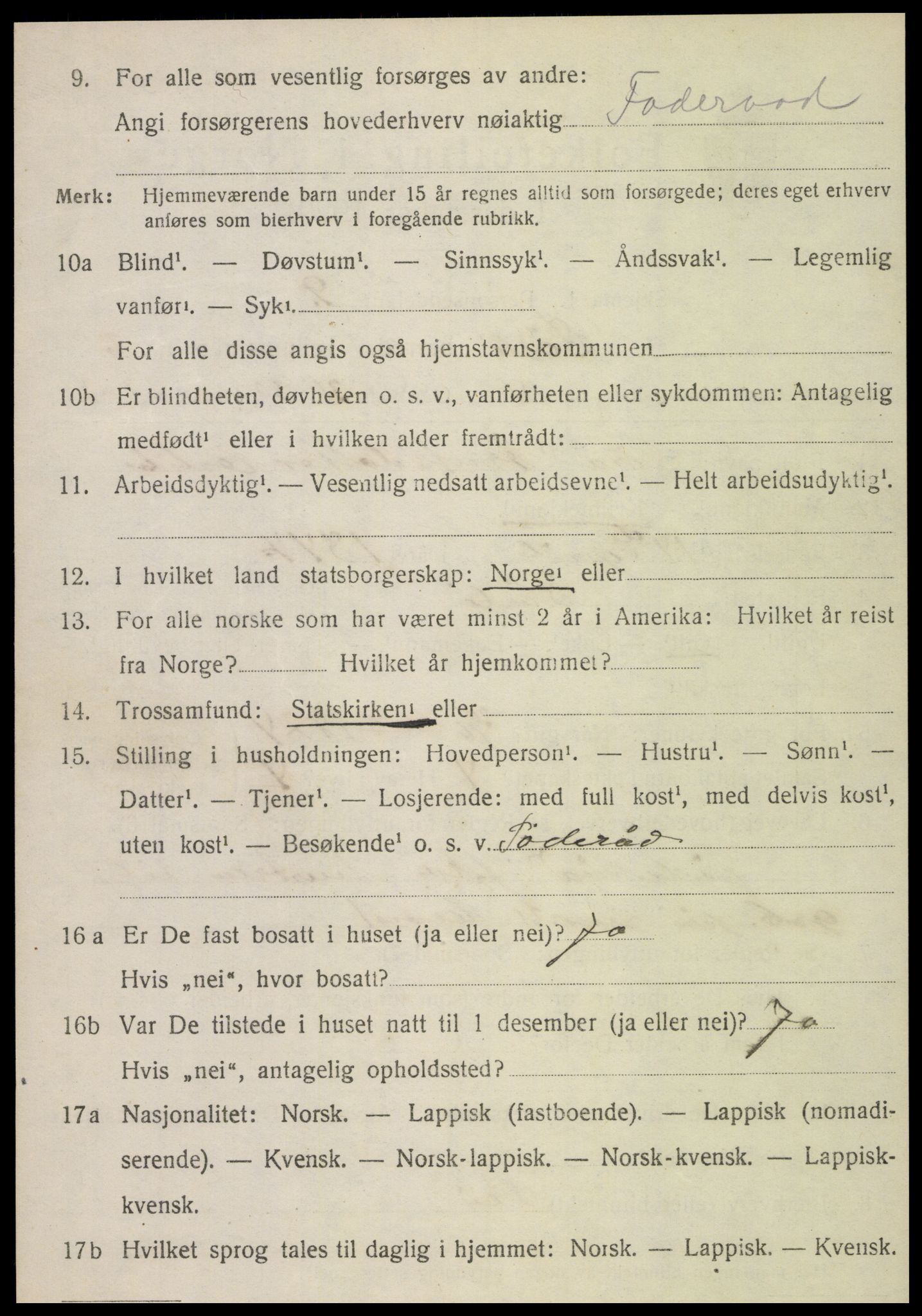 SAT, 1920 census for Sørli, 1920, p. 1024