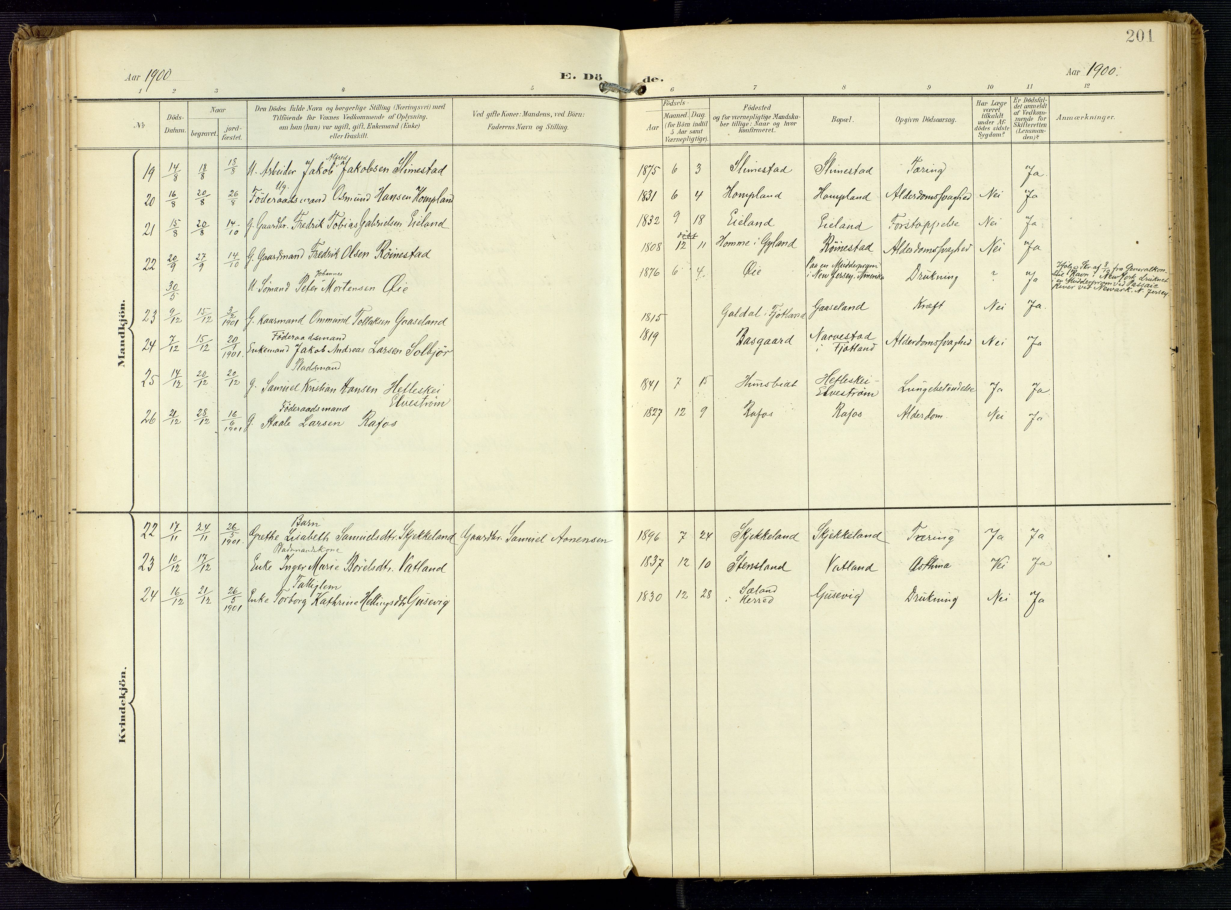 Kvinesdal sokneprestkontor, AV/SAK-1111-0026/F/Fa/Fab/L0009: Parish register (official) no. A 9, 1898-1915, p. 201