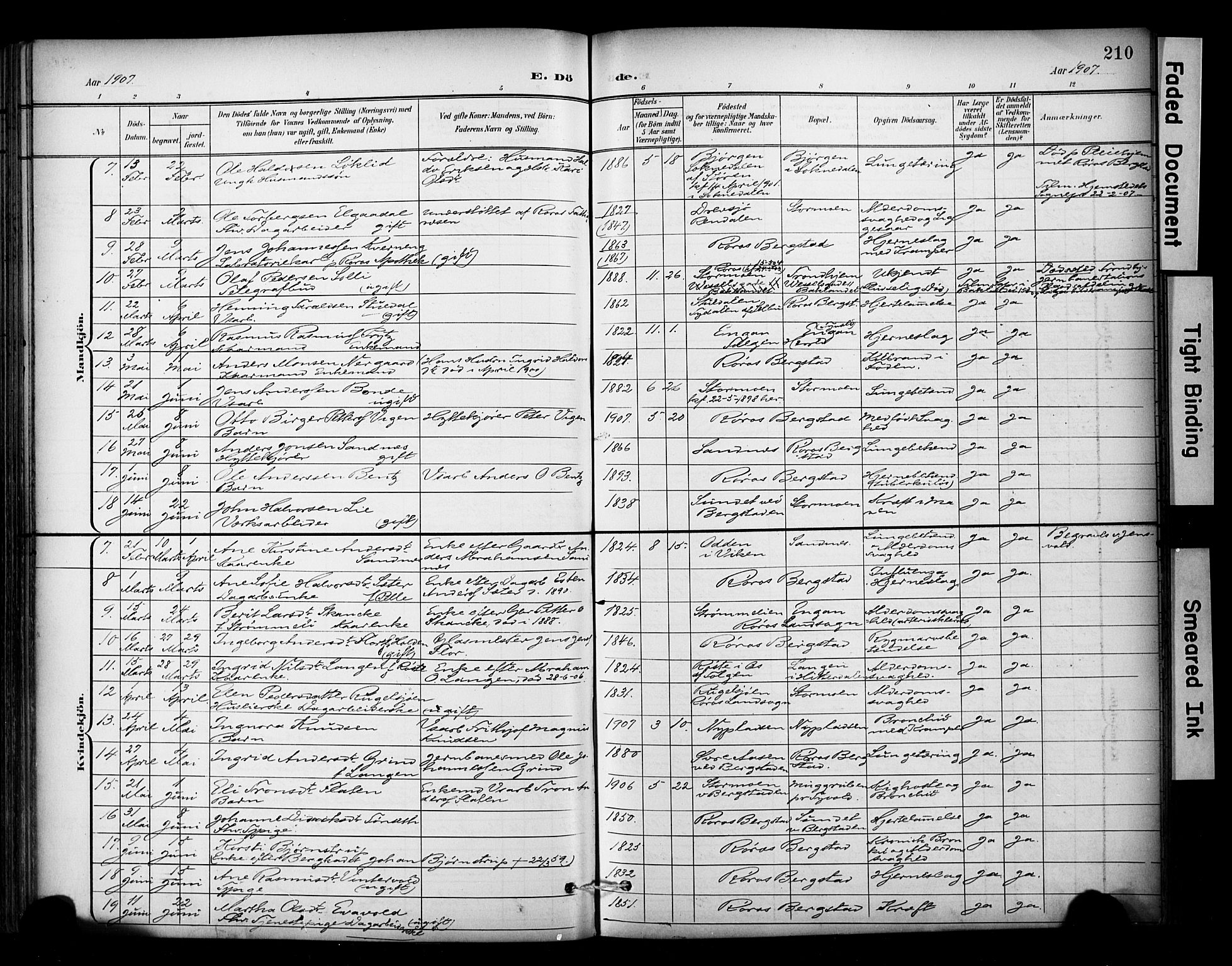 Ministerialprotokoller, klokkerbøker og fødselsregistre - Sør-Trøndelag, AV/SAT-A-1456/681/L0936: Parish register (official) no. 681A14, 1899-1908, p. 210