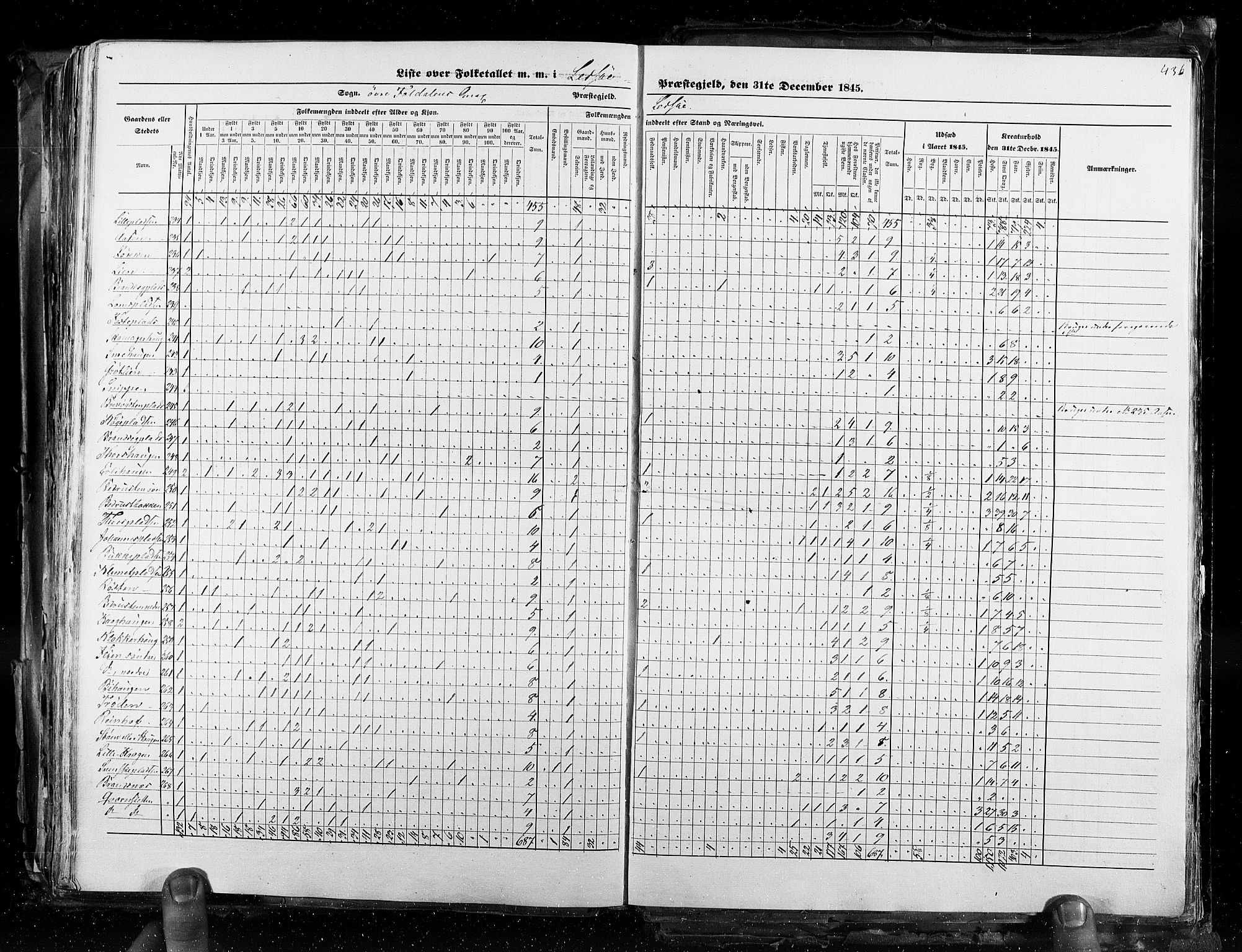 RA, Census 1845, vol. 3: Hedemarken amt og Kristians amt, 1845, p. 436