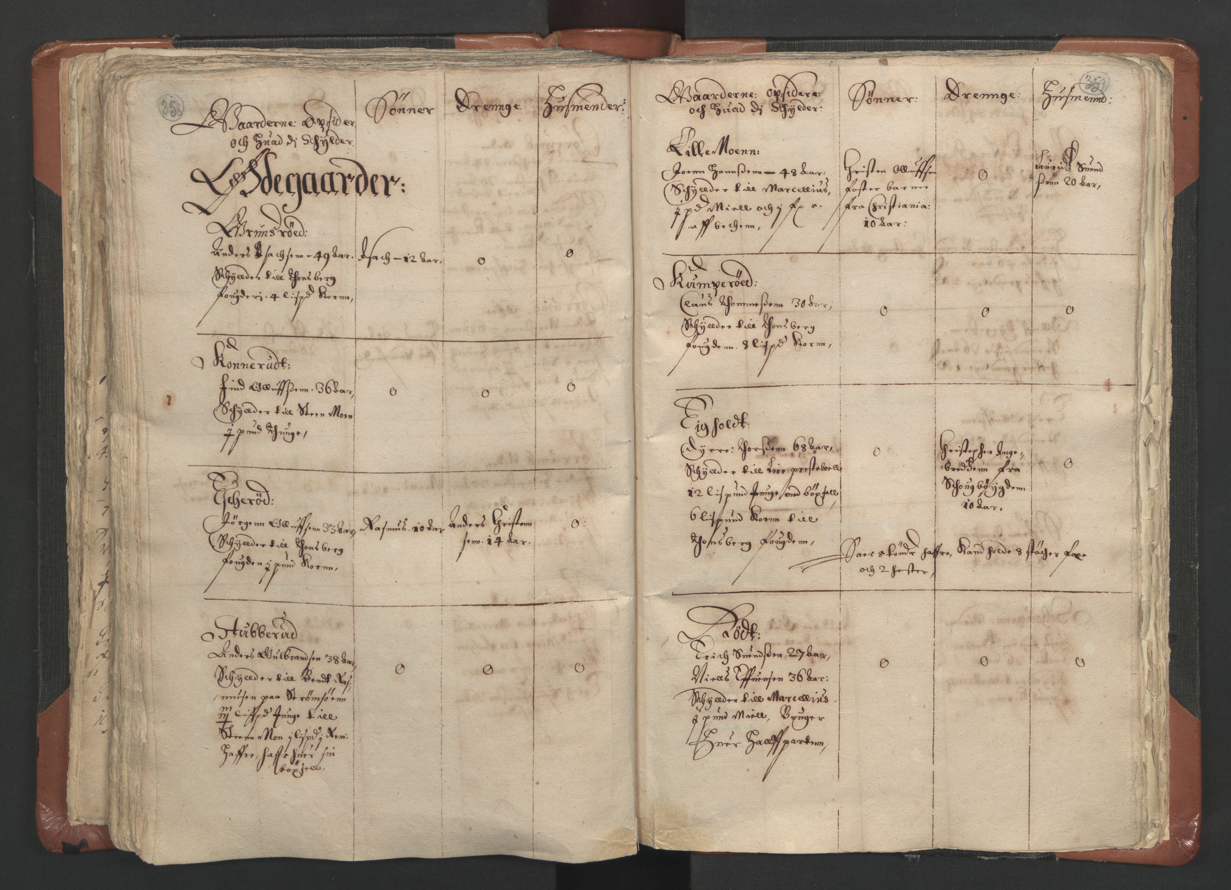 RA, Vicar's Census 1664-1666, no. 9: Bragernes deanery, 1664-1666, p. 358-359