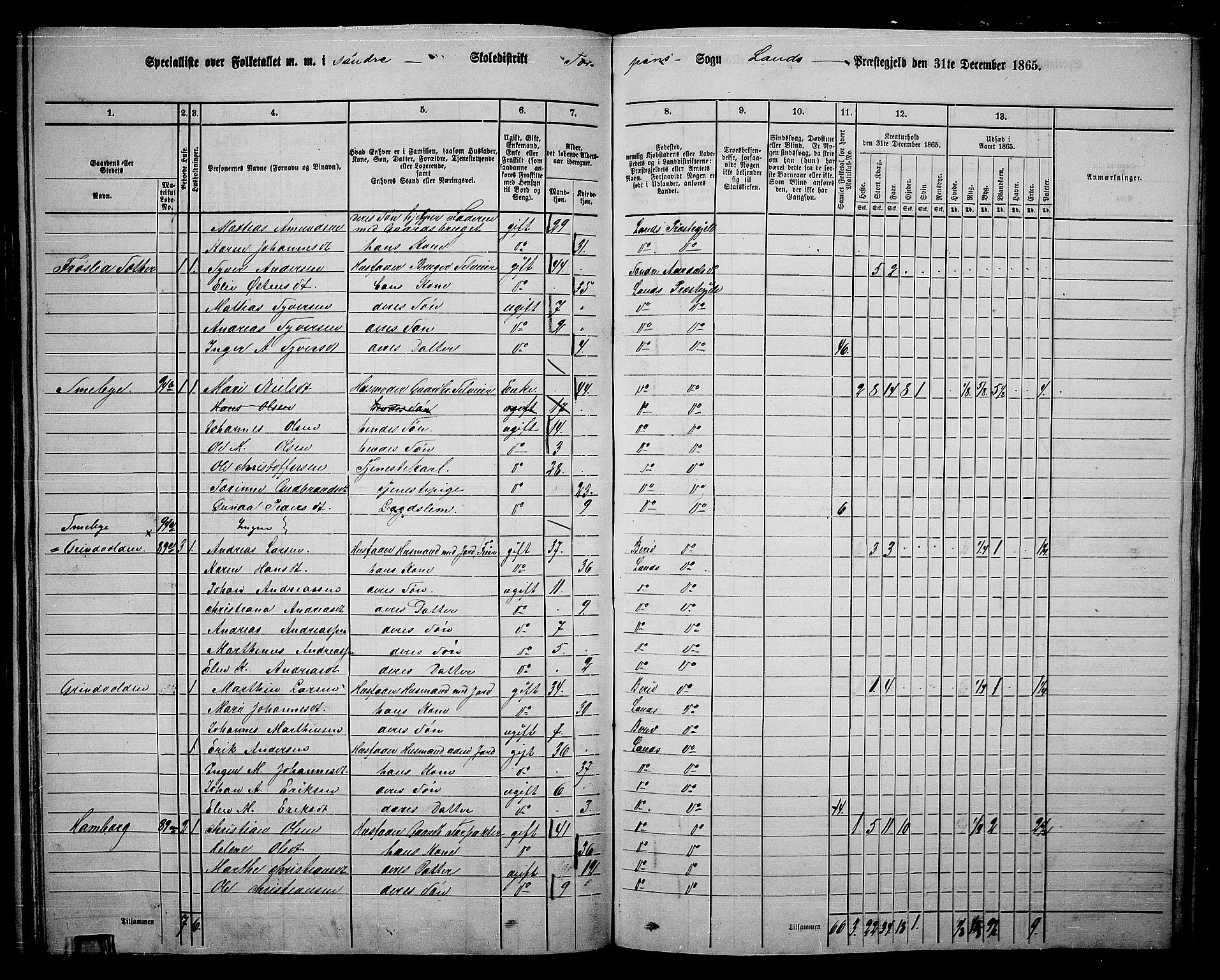 RA, 1865 census for Land, 1865, p. 98