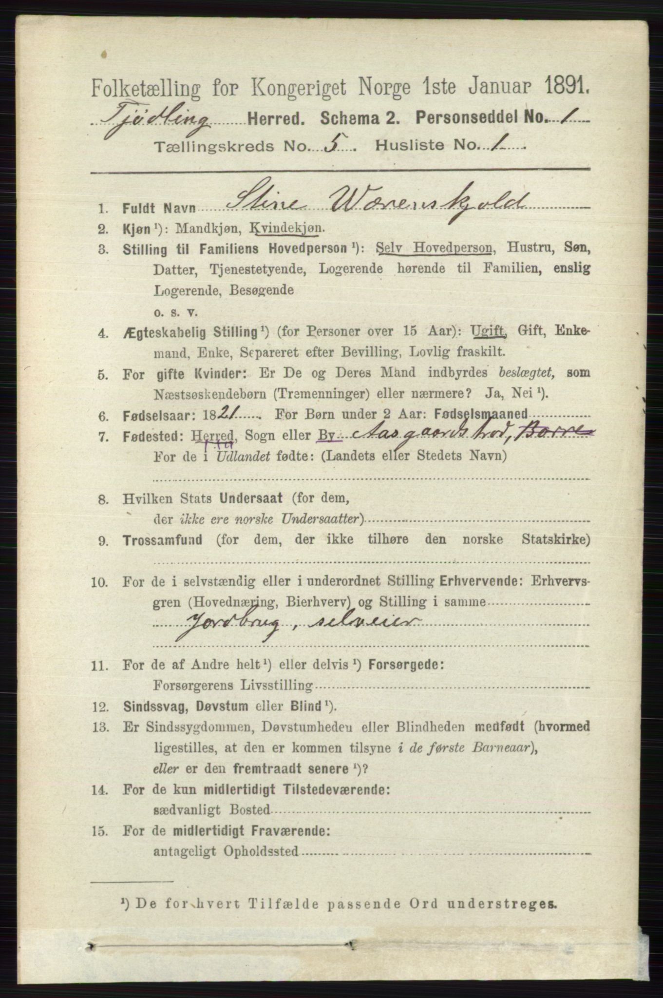 RA, 1891 census for 0725 Tjølling, 1891, p. 1972