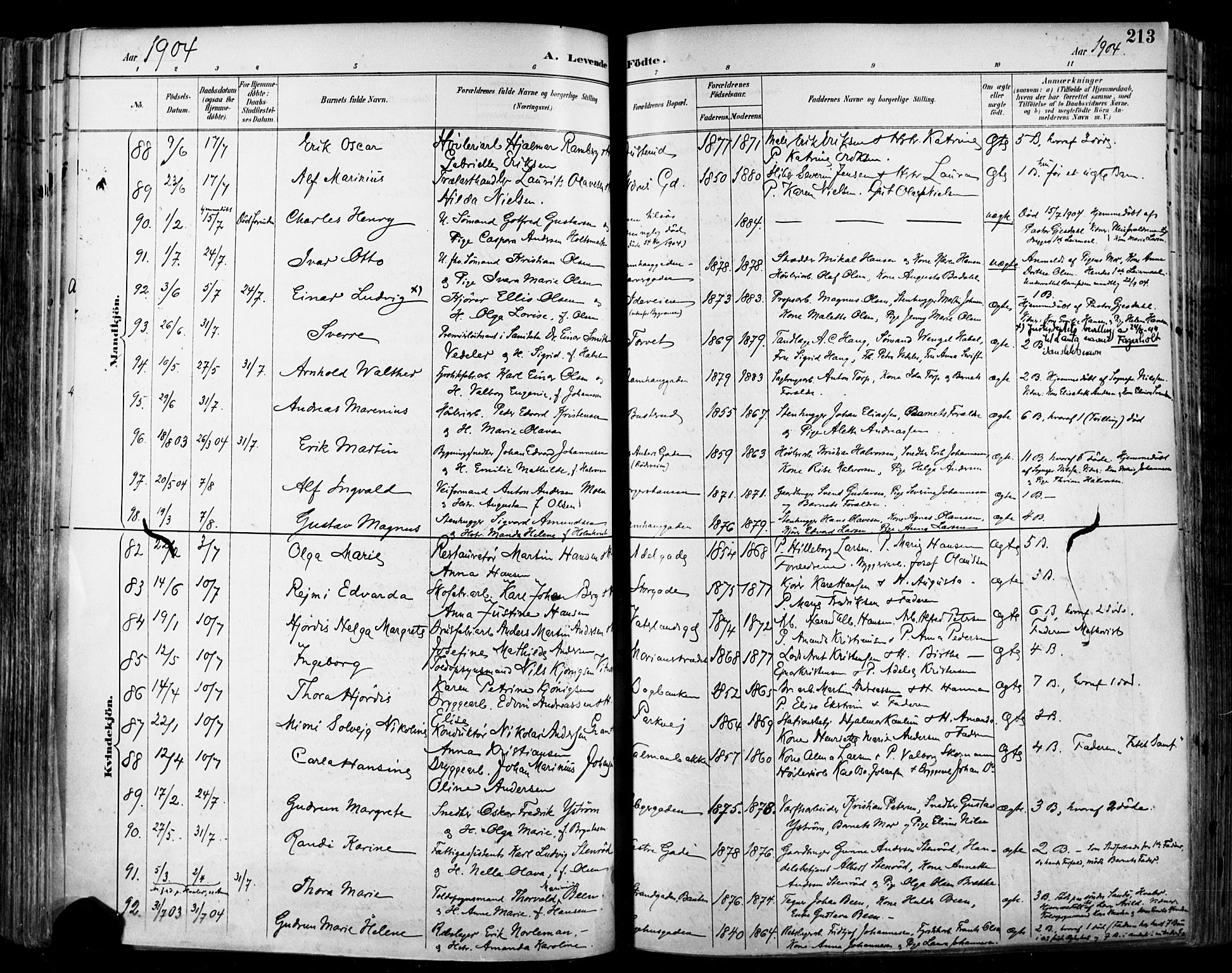 Halden prestekontor Kirkebøker, SAO/A-10909/F/Fa/L0013: Parish register (official) no. I 13, 1890-1906, p. 213