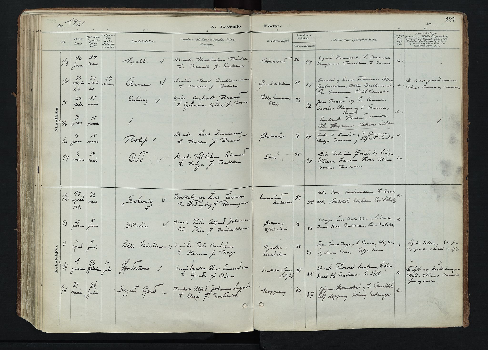 Stor-Elvdal prestekontor, AV/SAH-PREST-052/H/Ha/Haa/L0004: Parish register (official) no. 4, 1890-1922, p. 227