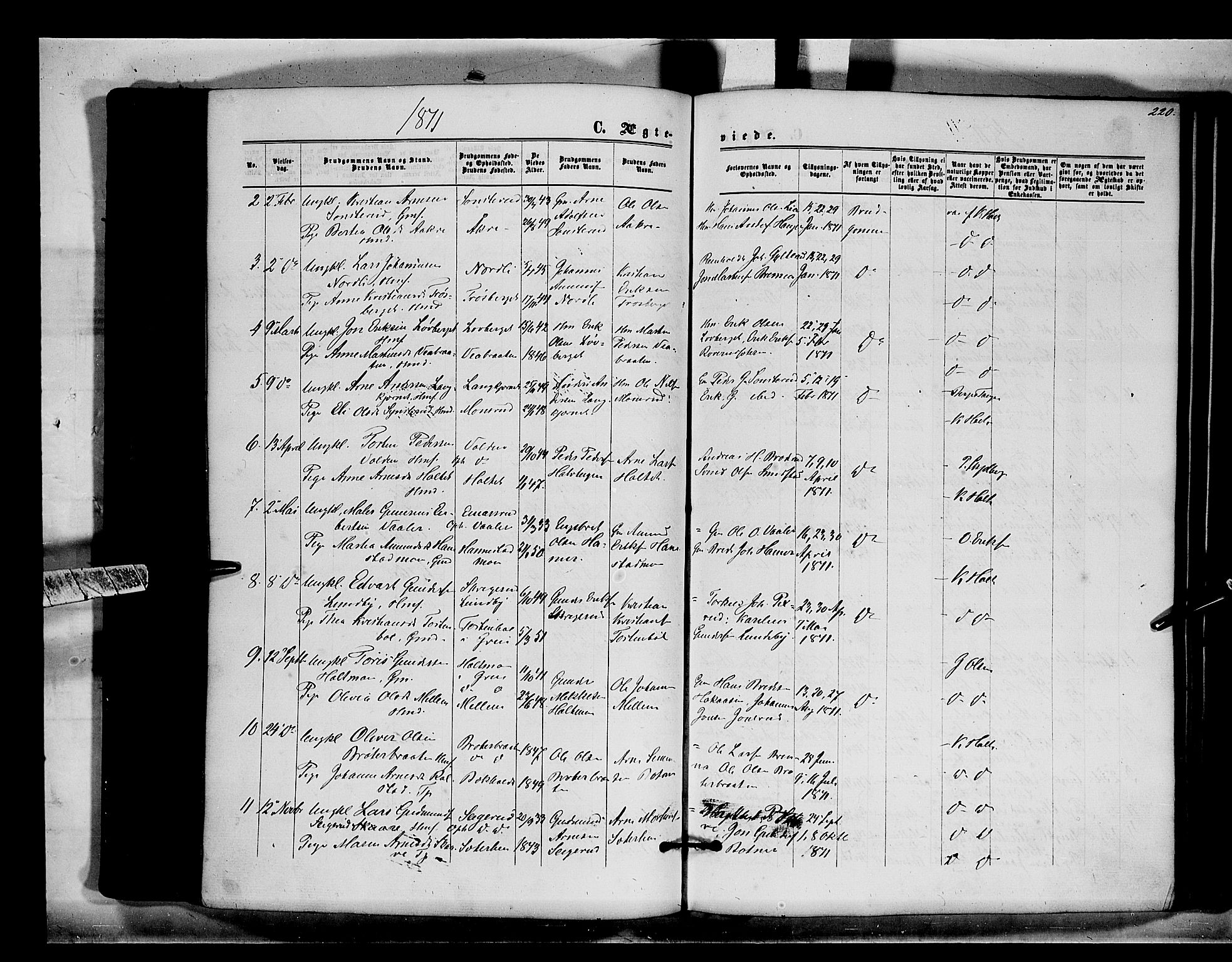Brandval prestekontor, SAH/PREST-034/H/Ha/Haa/L0001: Parish register (official) no. 1, 1864-1879, p. 220
