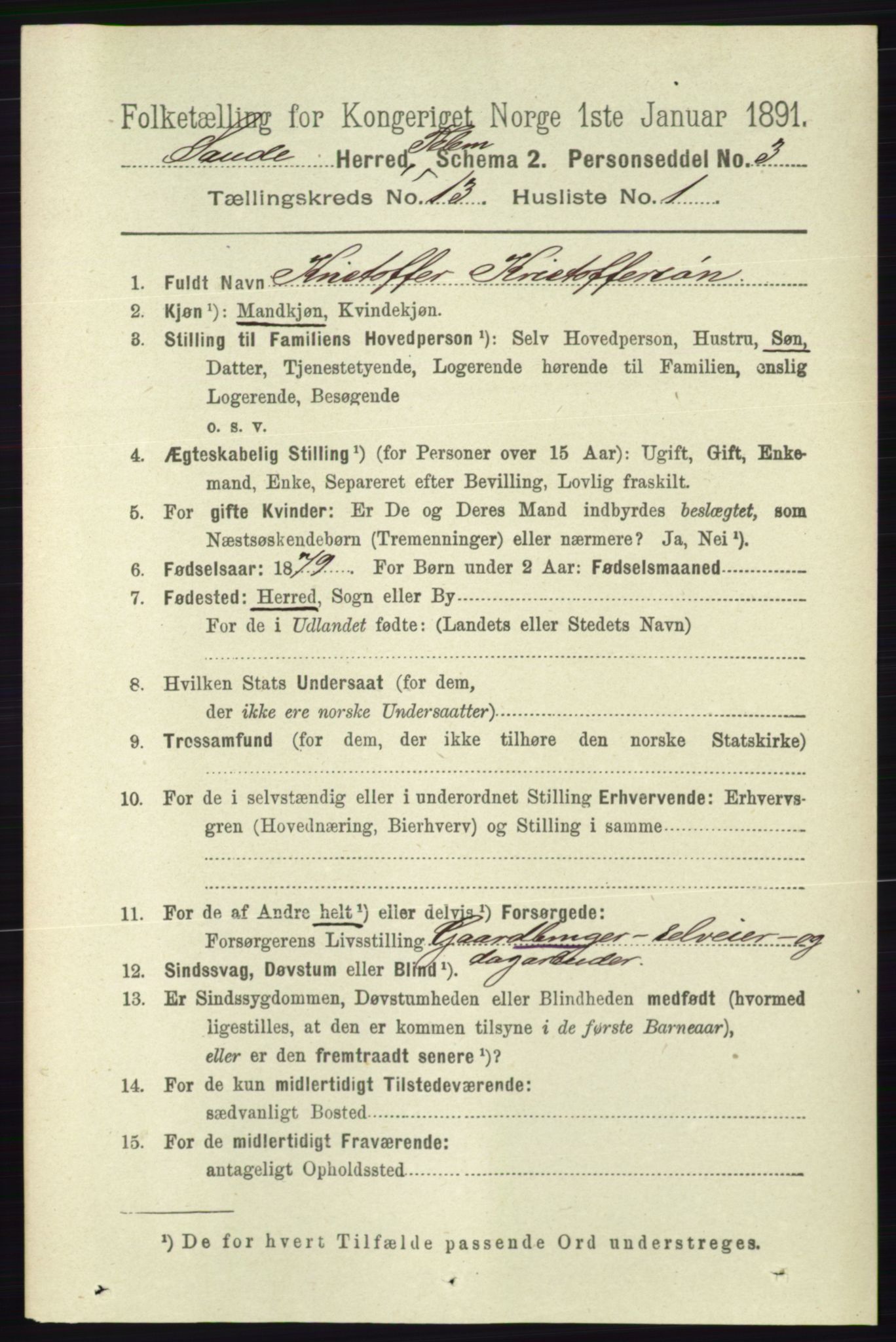 RA, 1891 census for 0822 Sauherad, 1891, p. 3907