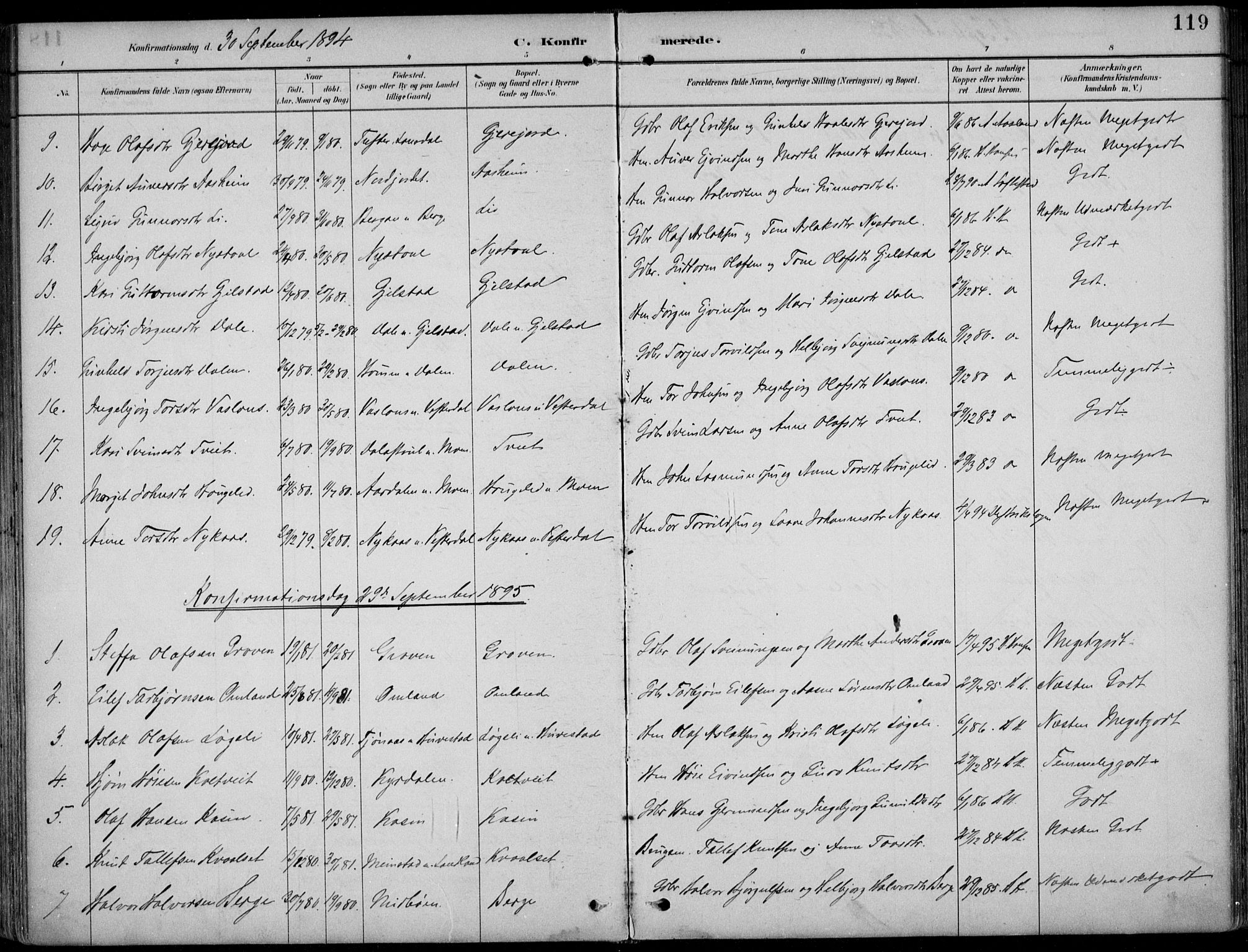 Kviteseid kirkebøker, SAKO/A-276/F/Fb/L0002: Parish register (official) no. II 2, 1882-1916, p. 119