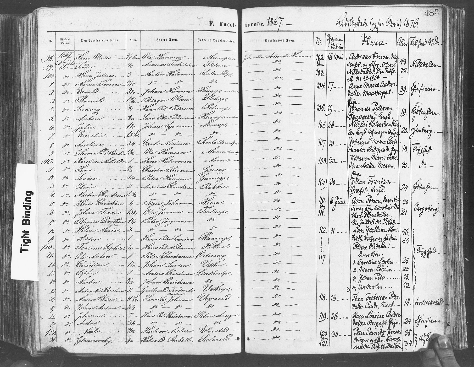 Eidsberg prestekontor Kirkebøker, SAO/A-10905/F/Fa/L0011: Parish register (official) no. I 11, 1867-1878, p. 483