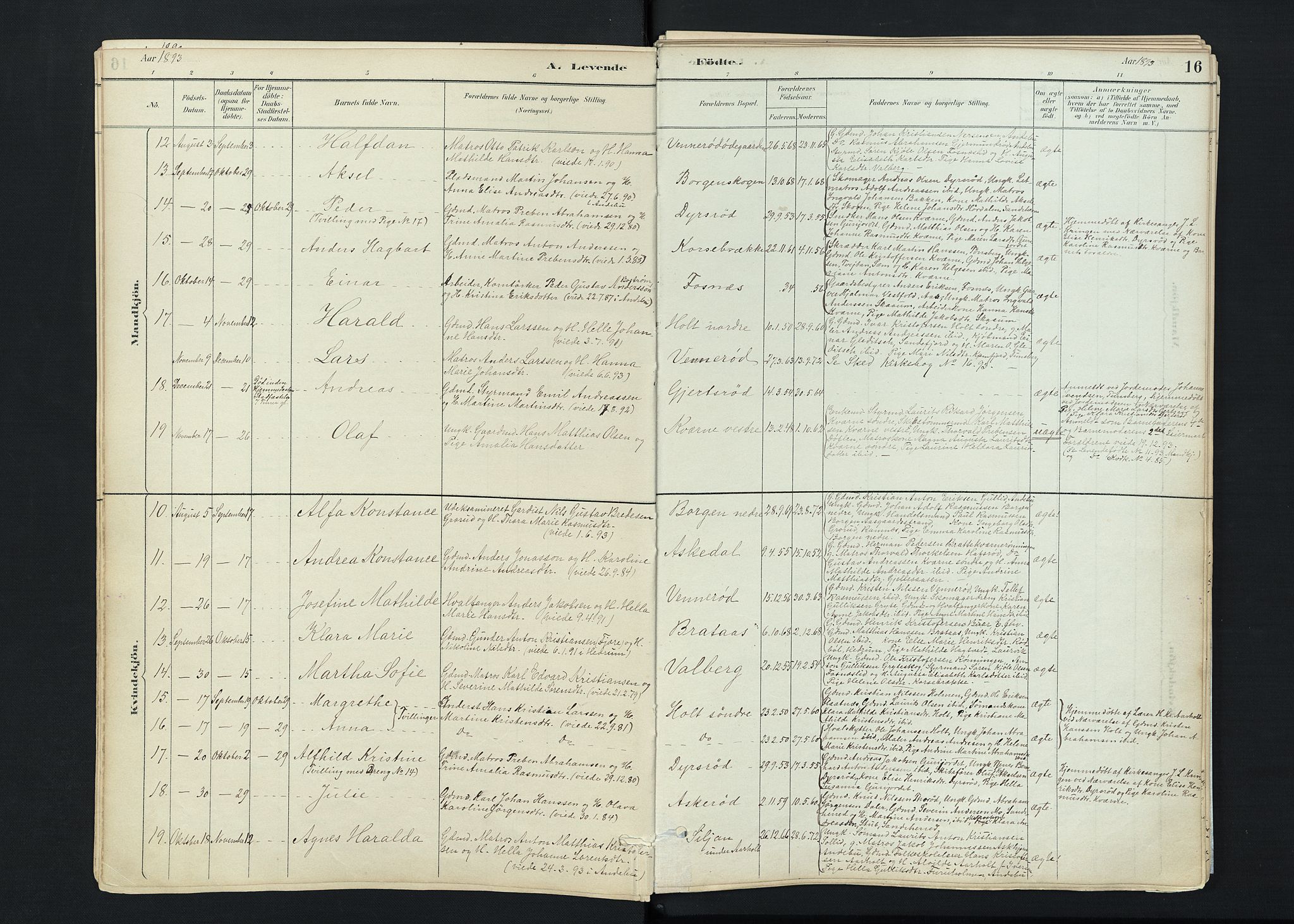 Stokke kirkebøker, AV/SAKO-A-320/F/Fc/L0001: Parish register (official) no. III 1, 1884-1910, p. 16