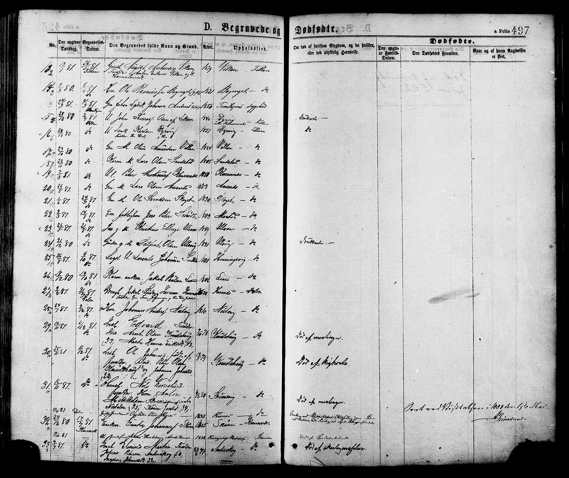 Ministerialprotokoller, klokkerbøker og fødselsregistre - Sør-Trøndelag, AV/SAT-A-1456/634/L0532: Parish register (official) no. 634A08, 1871-1881, p. 497