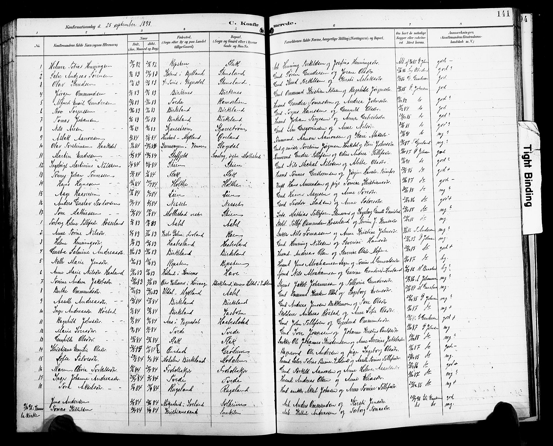 Birkenes sokneprestkontor, SAK/1111-0004/F/Fb/L0004: Parish register (copy) no. B 4, 1893-1930, p. 141