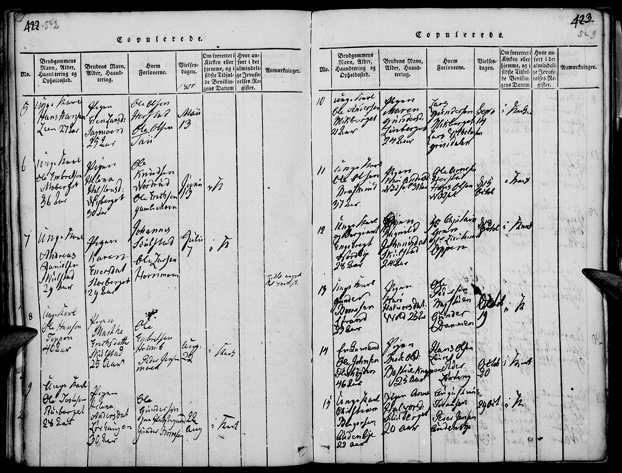 Elverum prestekontor, SAH/PREST-044/H/Ha/Haa/L0007: Parish register (official) no. 7, 1815-1830, p. 542-543
