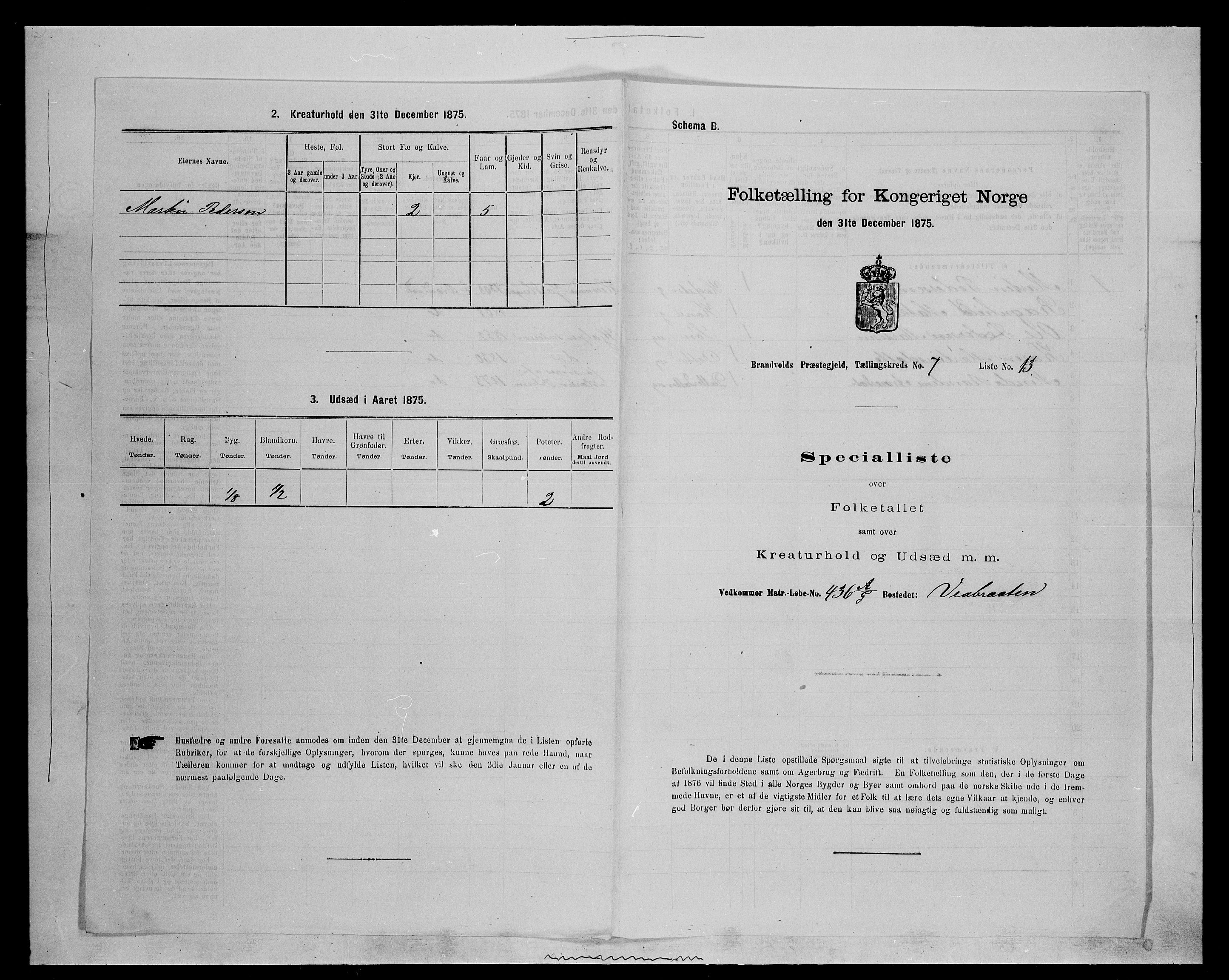 SAH, 1875 census for 0422P Brandval, 1875, p. 1161