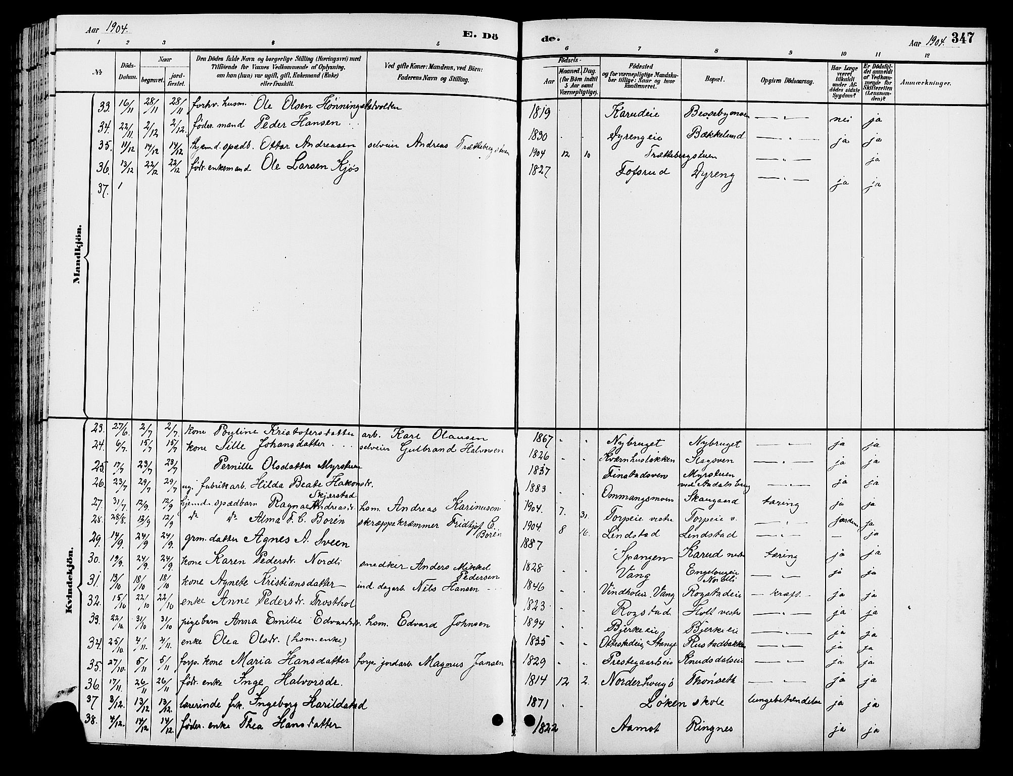 Løten prestekontor, AV/SAH-PREST-022/L/La/L0006: Parish register (copy) no. 6, 1892-1909, p. 347